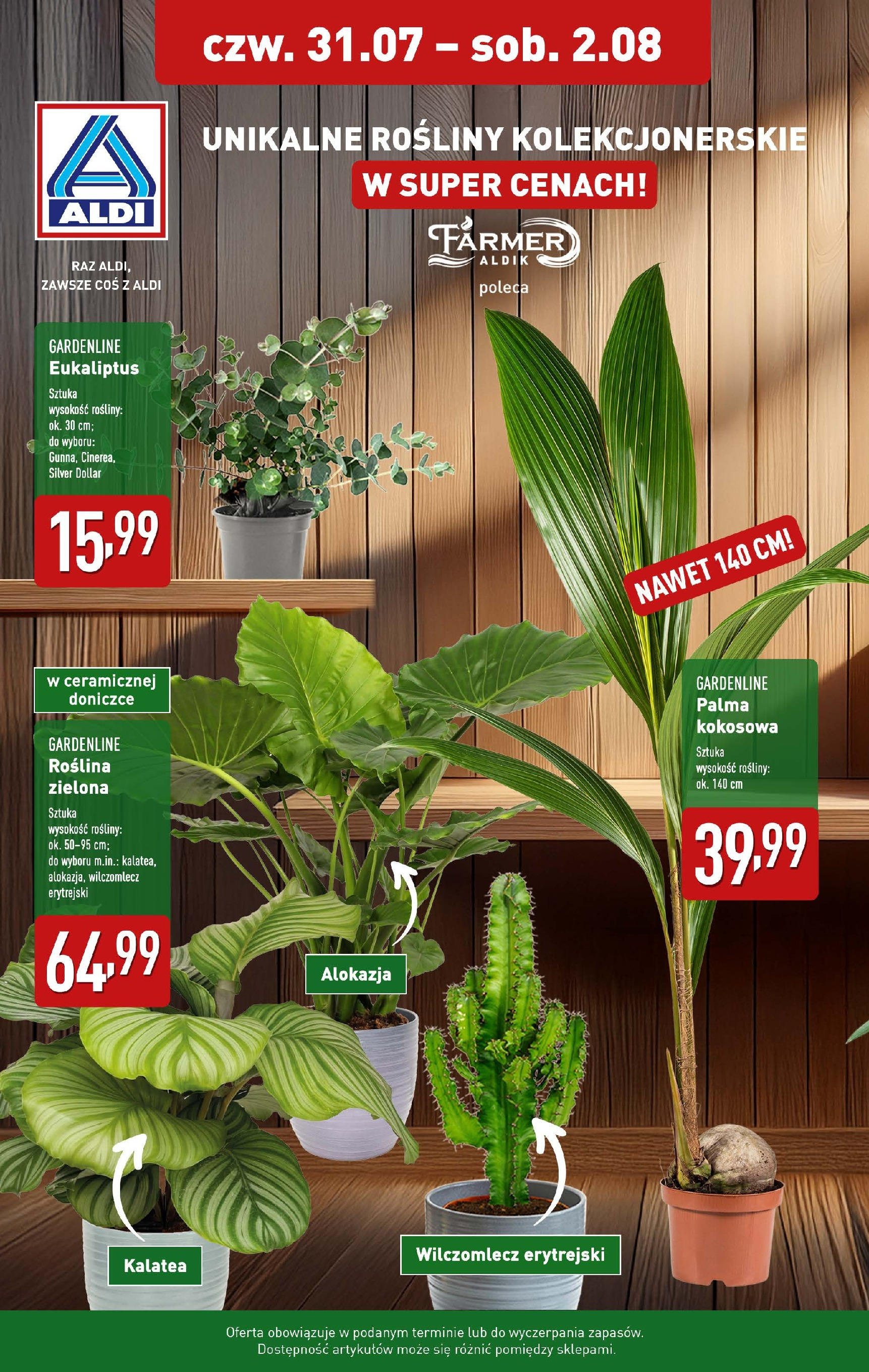 aldi - Gazetka ALDI - Kwiaty - ważna od 31.07. do 02.08.
