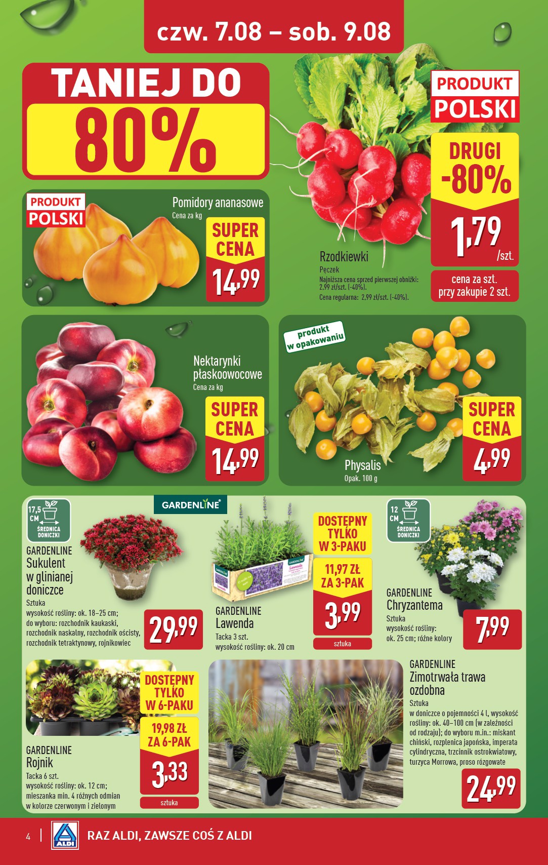 aldi - Gazetka ALDI - Oferta weekendowa - ważna od 07.08. do 09.08. - page: 4