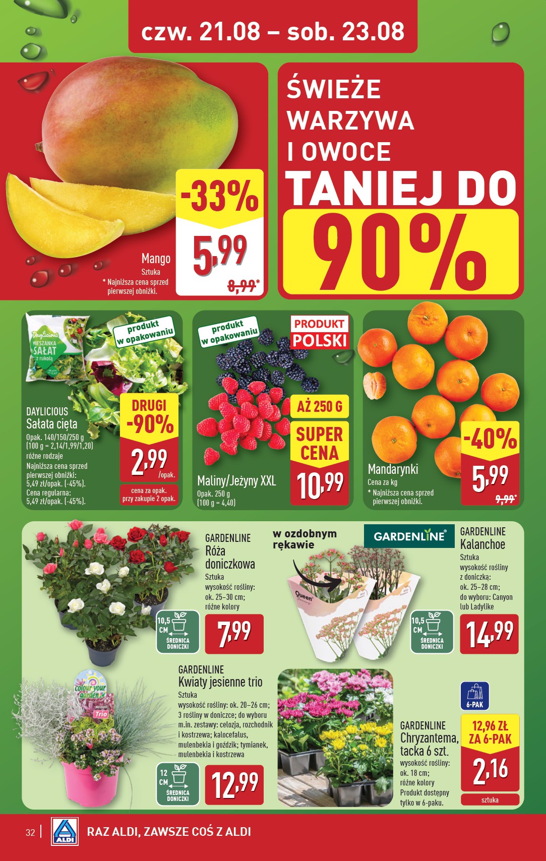 aldi - Gazetka ALDI - ważna od 18.08. do 23.08. - page: 32
