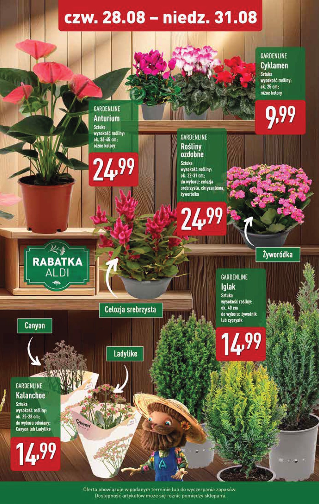 aldi - Gazetka ALDI - Oferta weekendowa - ważna od 28.08. do 31.08. - page: 9