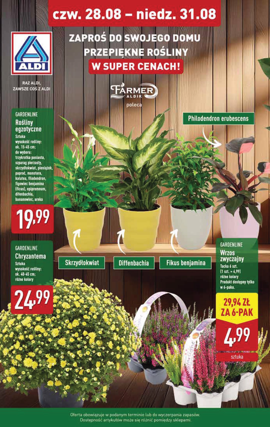 aldi - Gazetka ALDI - Oferta weekendowa - ważna od 28.08. do 31.08. - page: 8