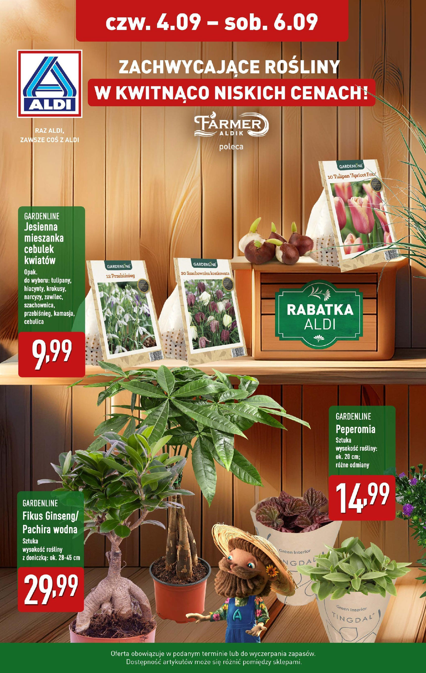 aldi - Gazetka ALDI - Zachwycające kwiaty - ważna od 04.09. do 06.09.