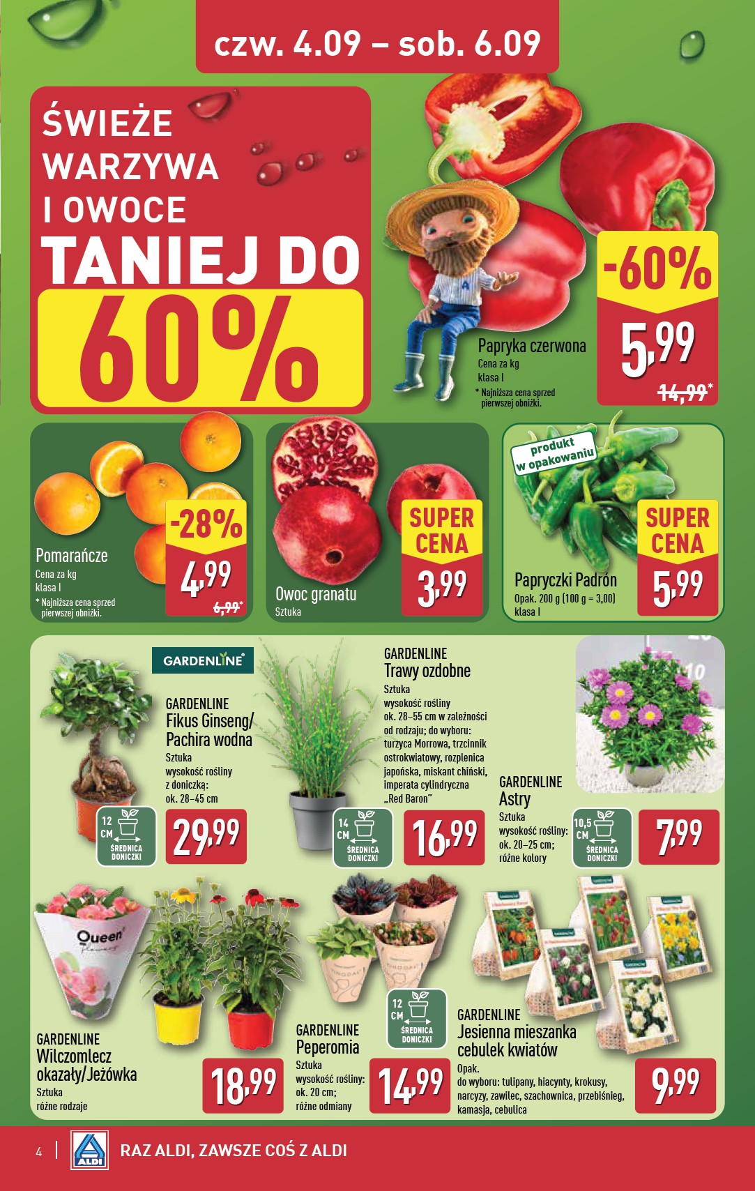 aldi - Gazetka ALDI - Oferta weekendowa - ważna od 04.09. do 06.09. - page: 4