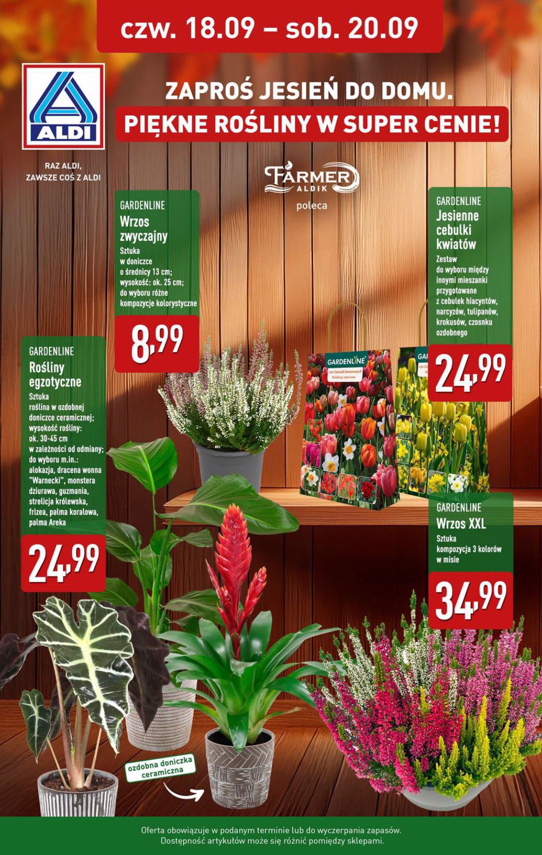 aldi - Gazetka ALDI - ważna od 15.09. do 20.09. - page: 34 aldi - Gazetka ALDI - ważna od 15.09. do 20.09. - page: 34