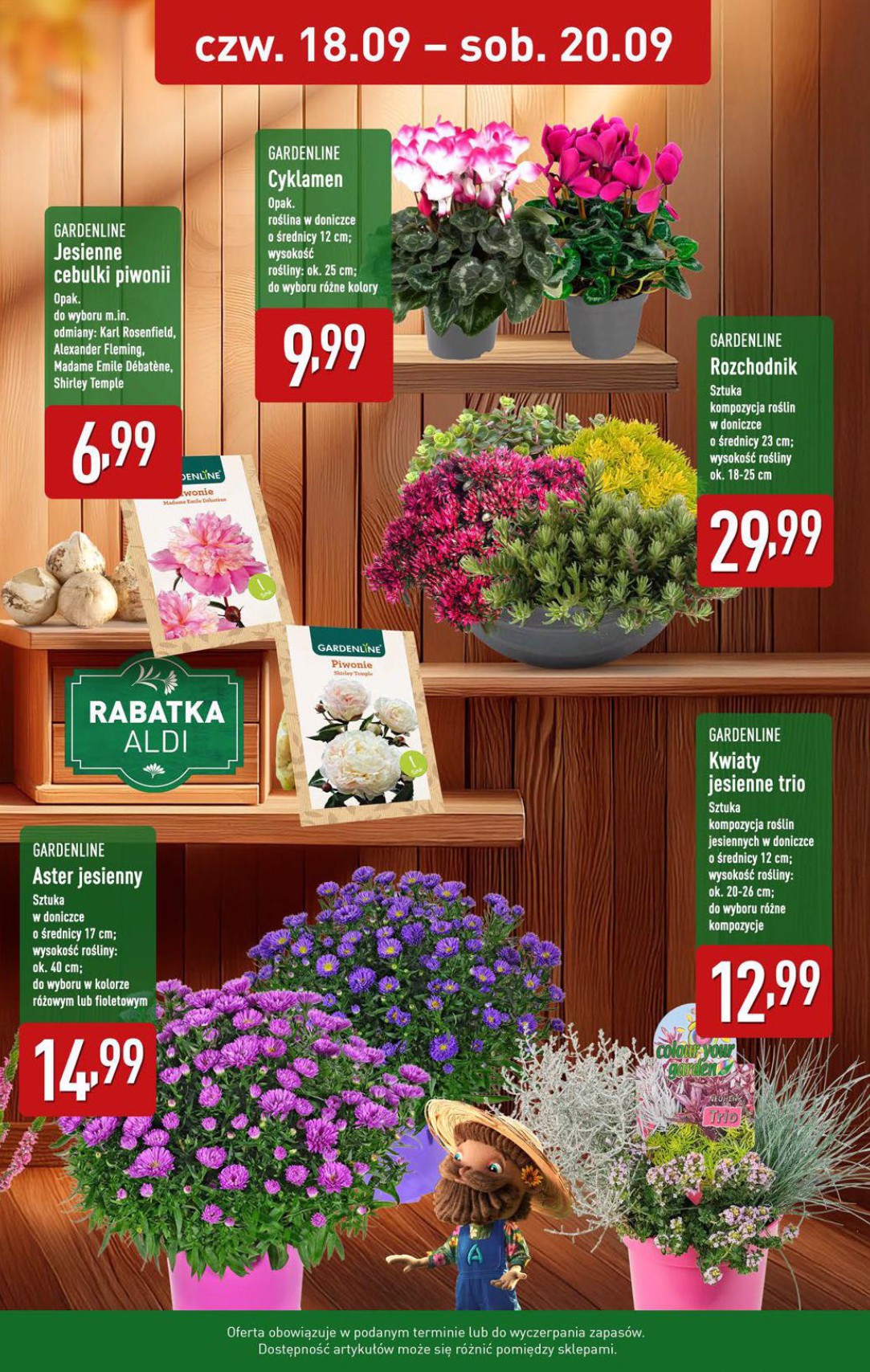aldi - Gazetka ALDI - ważna od 15.09. do 20.09. - page: 35 aldi - Gazetka ALDI - ważna od 15.09. do 20.09. - page: 35