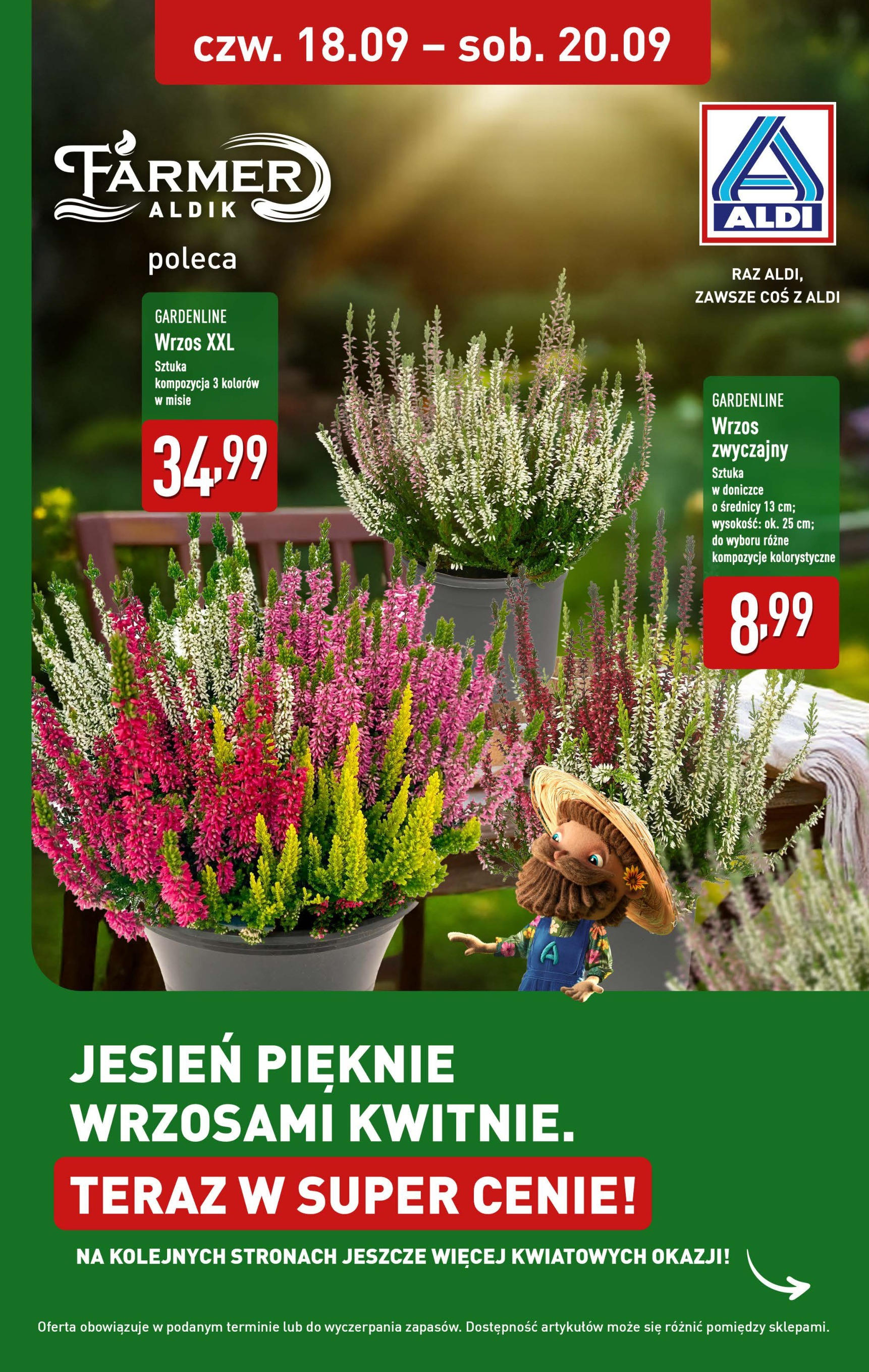 aldi - Gazetka ALDI - Wrzosy - ważna od 18.09. do 20.09.