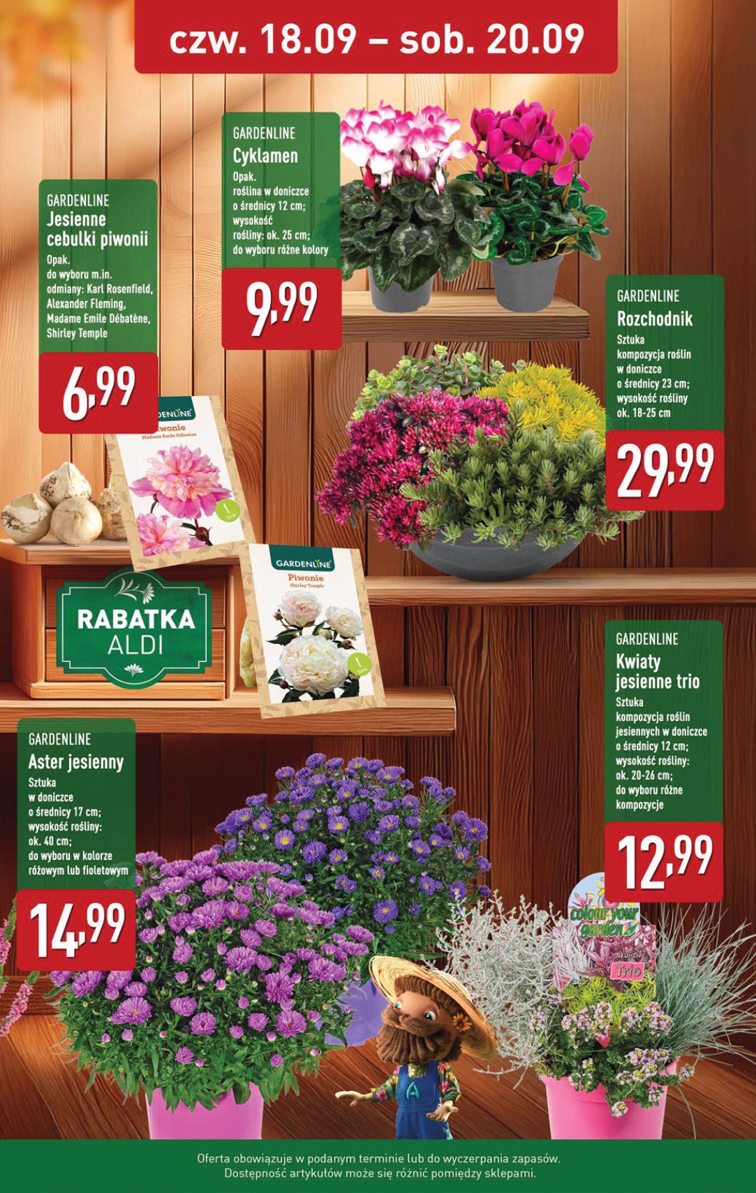aldi - Gazetka ALDI - Oferta weekendowa - ważna od 18.09. do 20.09. - page: 12