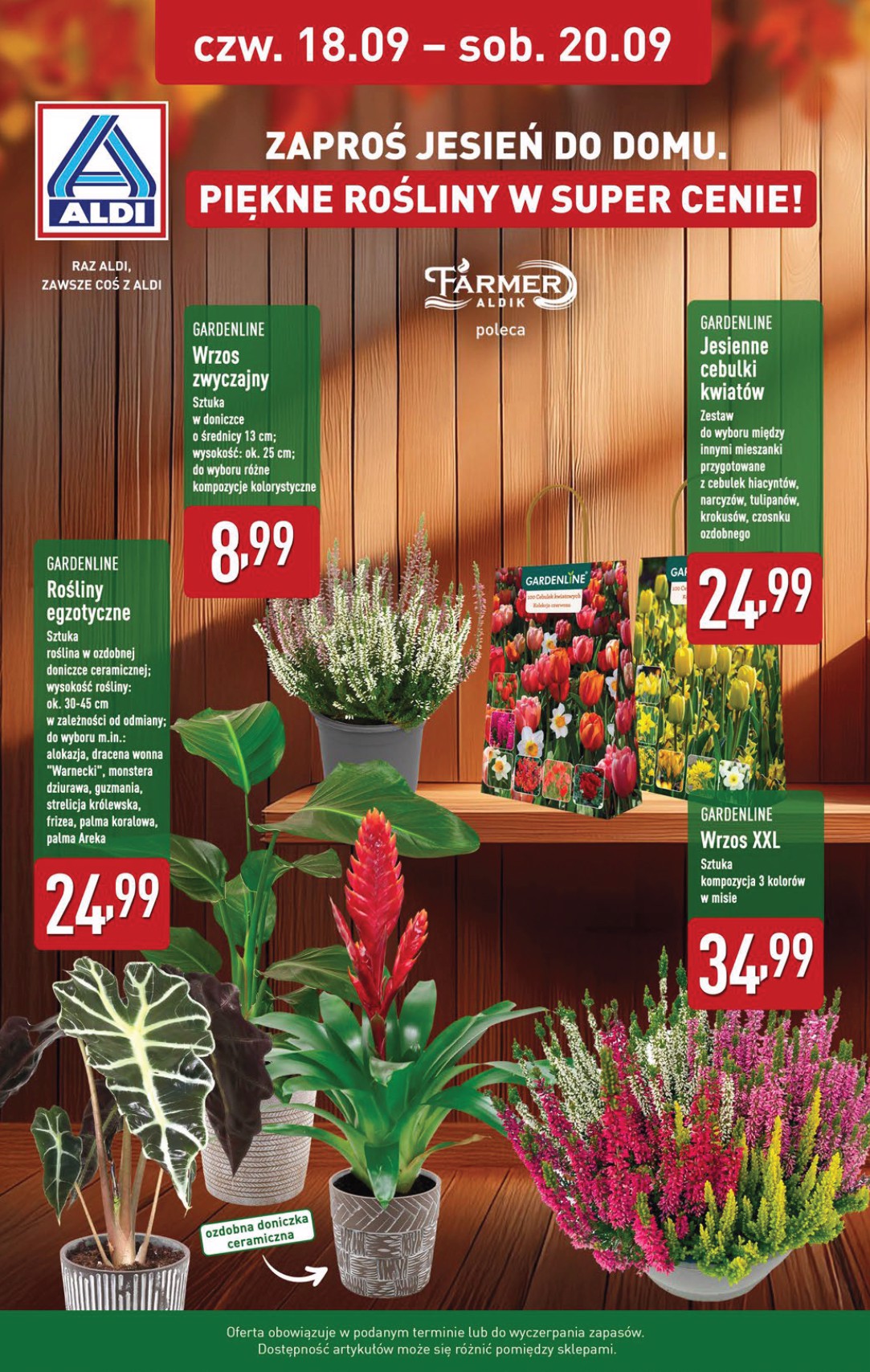 aldi - Gazetka ALDI - Oferta weekendowa - ważna od 18.09. do 20.09. - page: 11