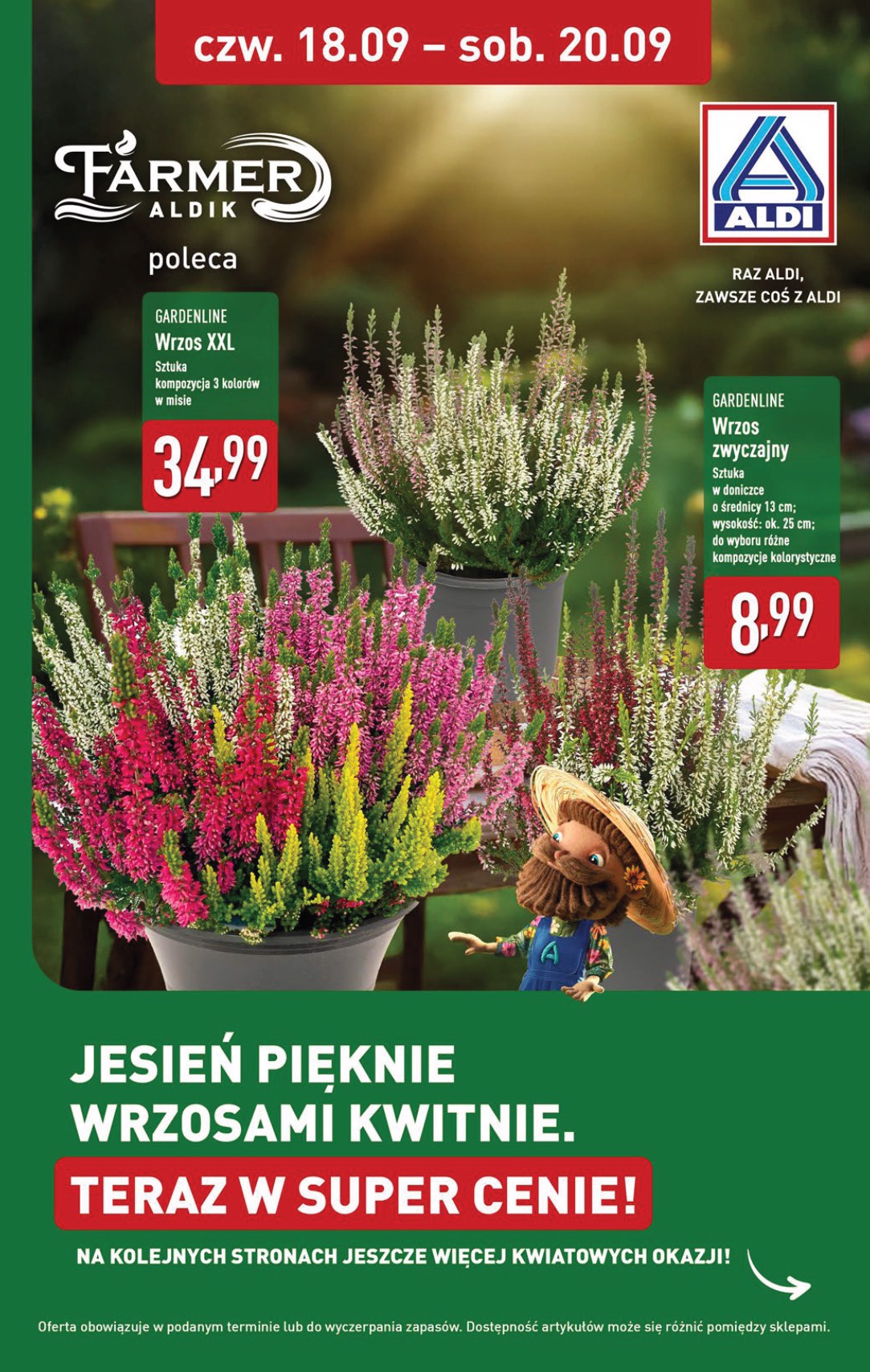 aldi - Gazetka ALDI - Oferta weekendowa - ważna od 18.09. do 20.09. - page: 10
