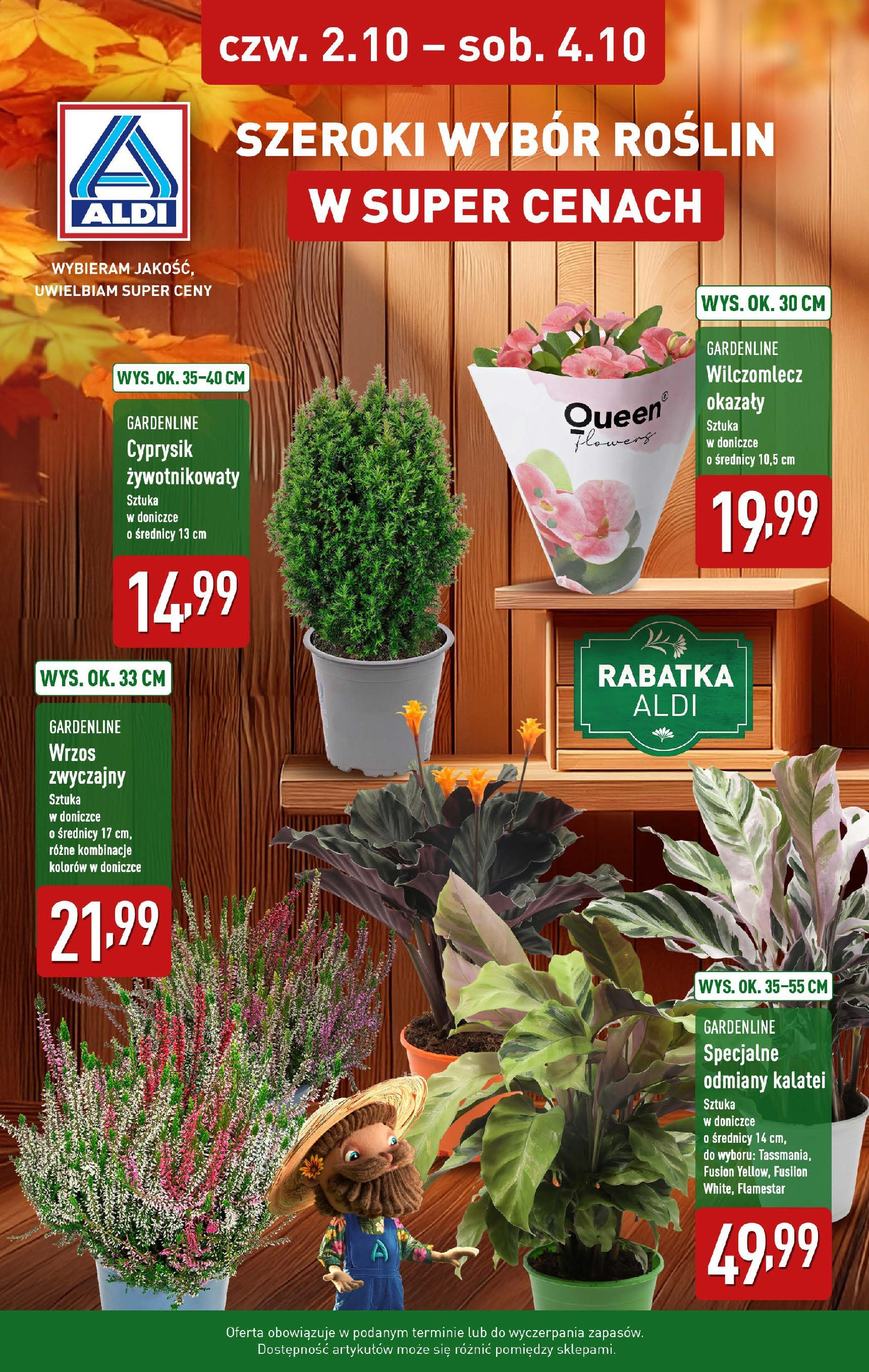 aldi - Gazetka ALDI - Rabatka kwiatów - ważna od 02.10. do 04.10.