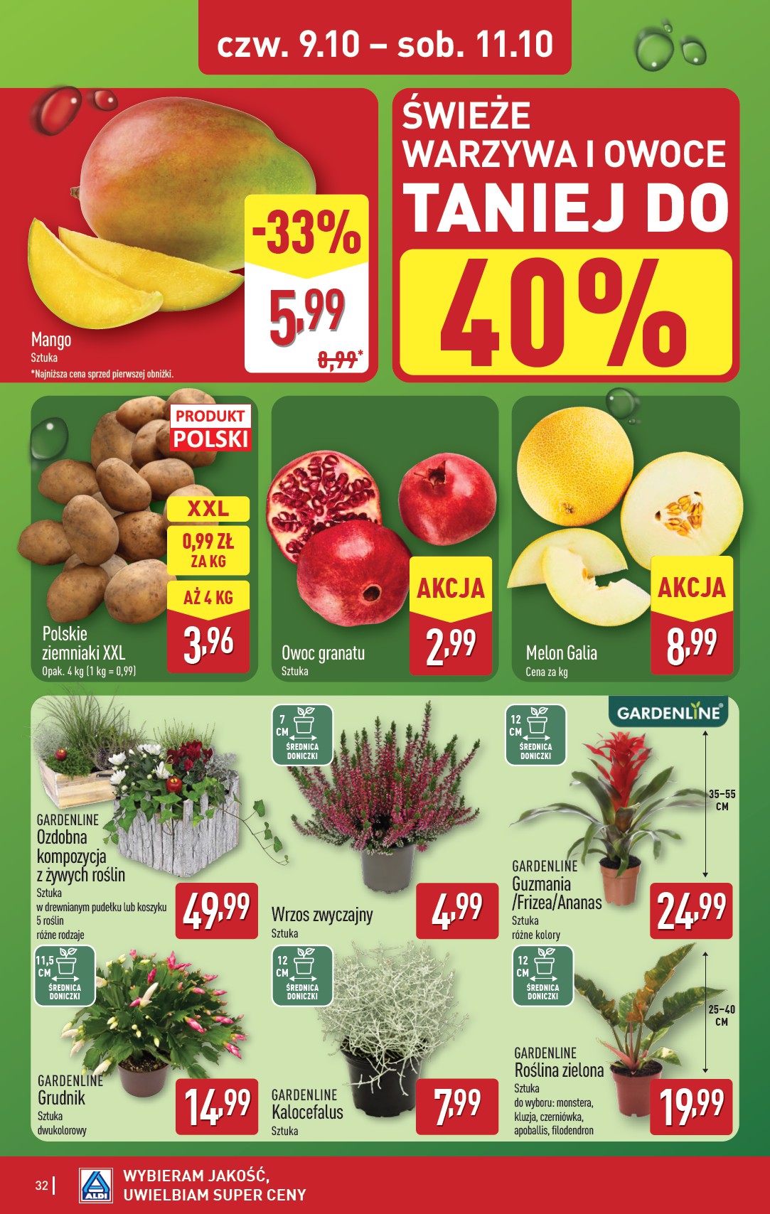 aldi - Gazetka ALDI - ważna od 06.10. do 11.10. - page: 32
