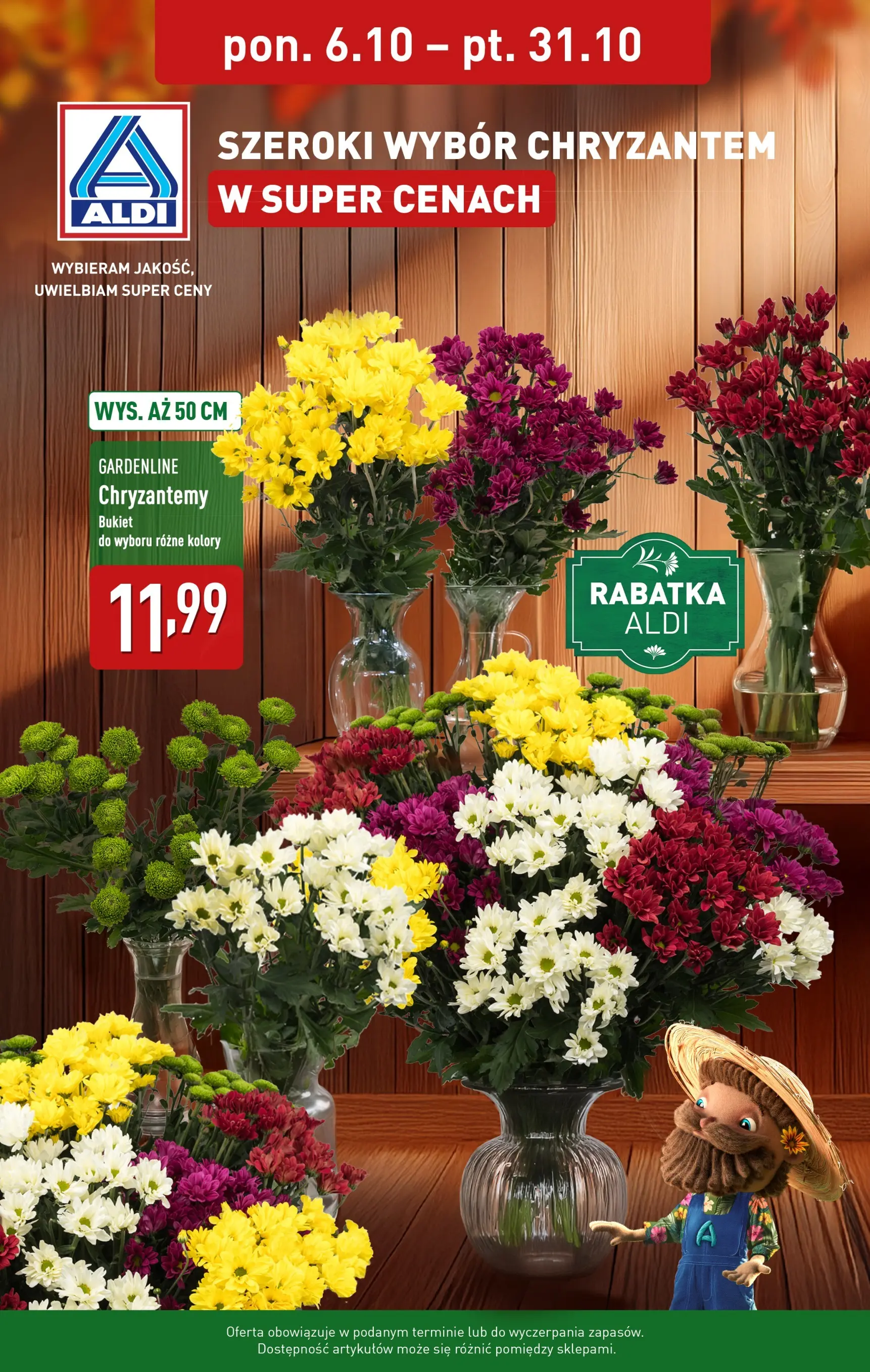 aldi - Gazetka ALDI - Chryzantemy - ważna od 06.10. do 31.10.