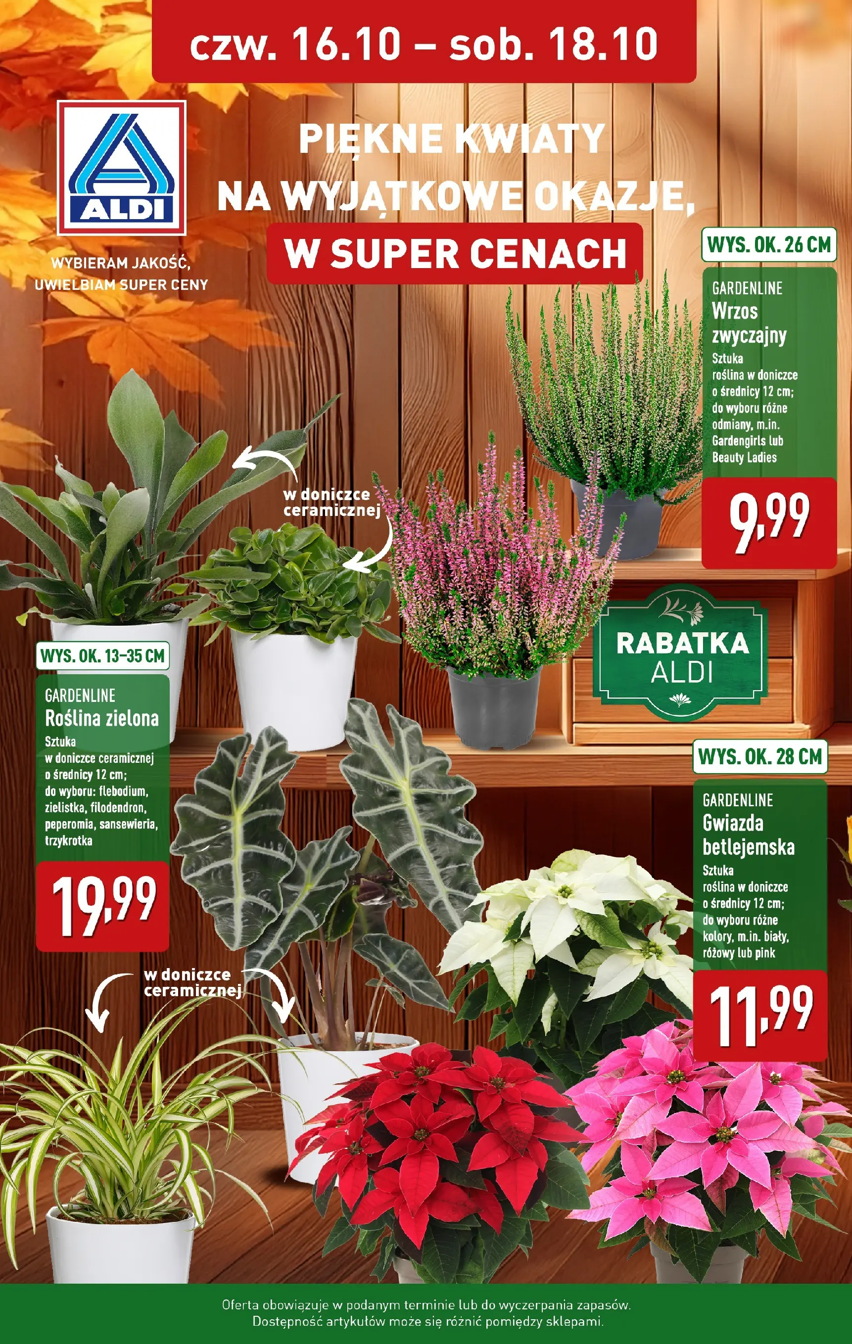 aldi - Gazetka ALDI - Piękne kwiaty - ważna od 16.10. do 18.10.