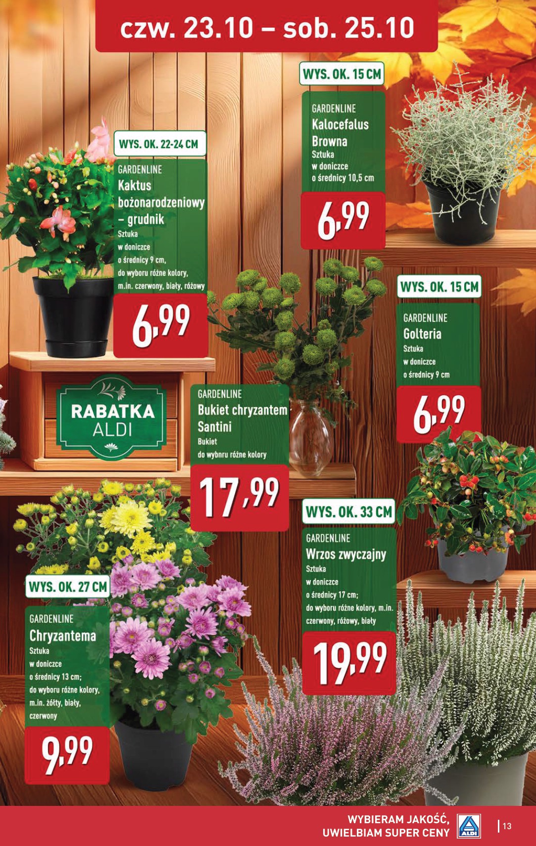 aldi - Gazetka ALDI - Oferta weekendowa - ważna od 23.10. do 25.10. - page: 13