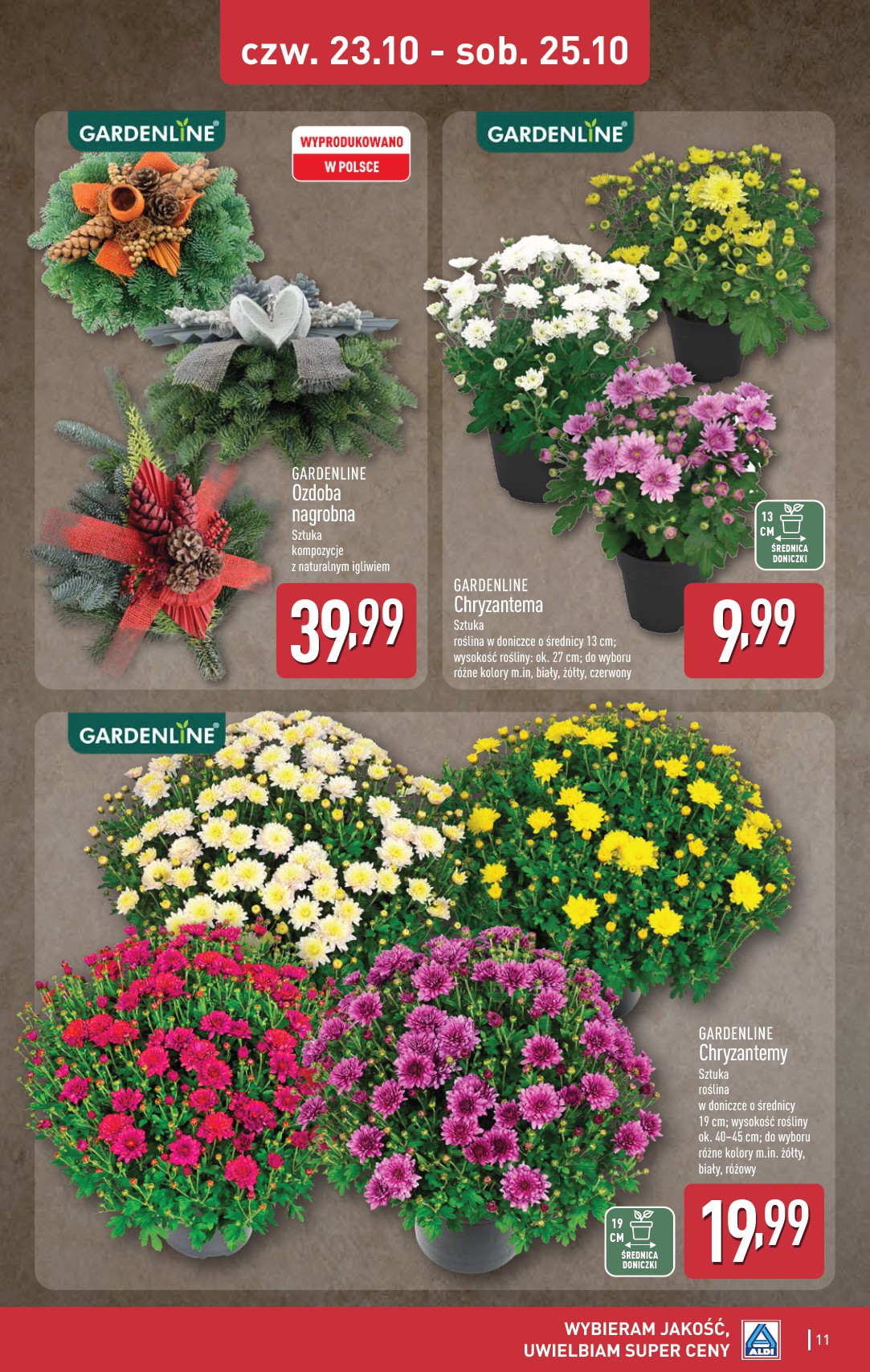 aldi - Gazetka ALDI - Oferta weekendowa - ważna od 23.10. do 25.10. - page: 11