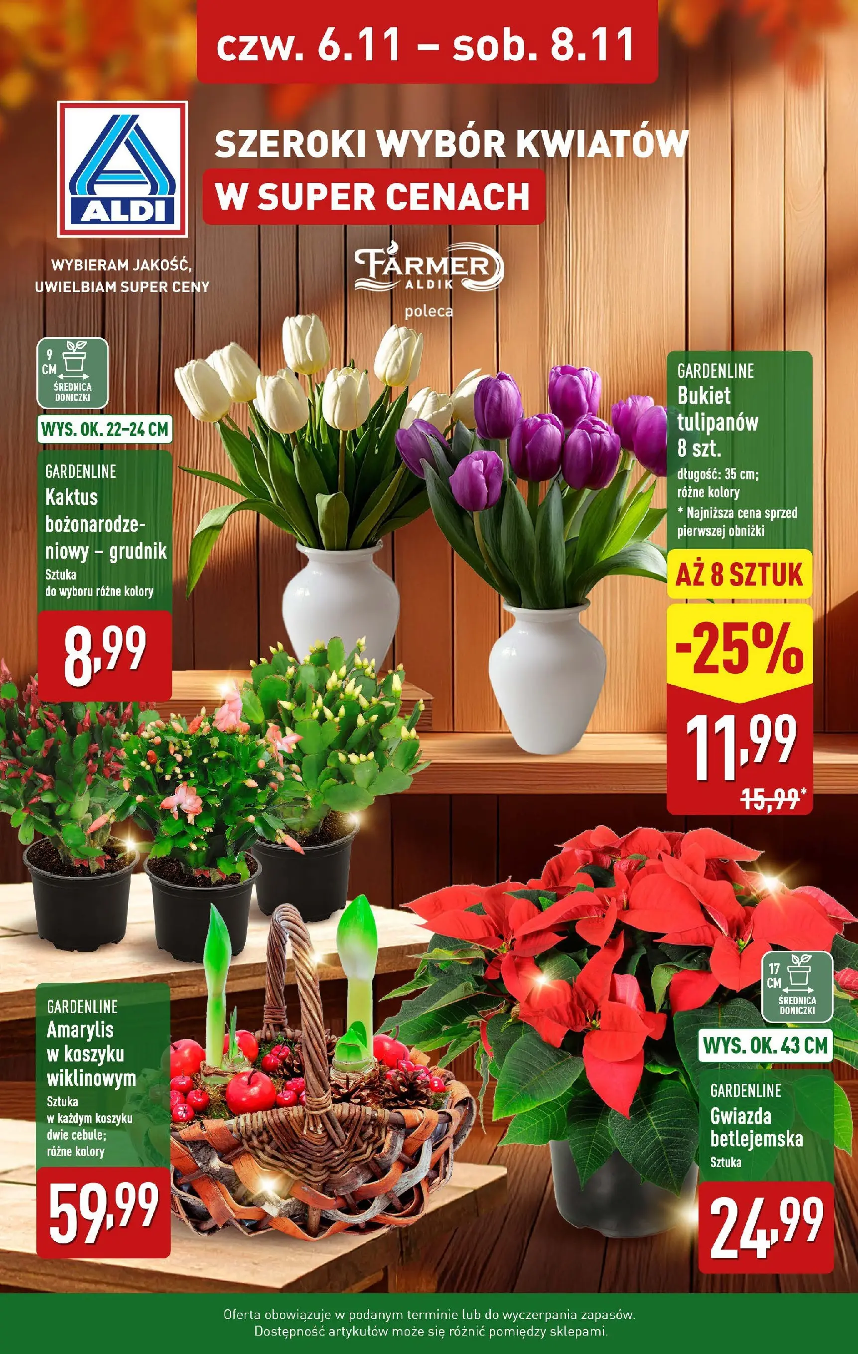 aldi - Gazetka ALDI - Kwiaty w super cenach - ważna od 06.11. do 08.11.
