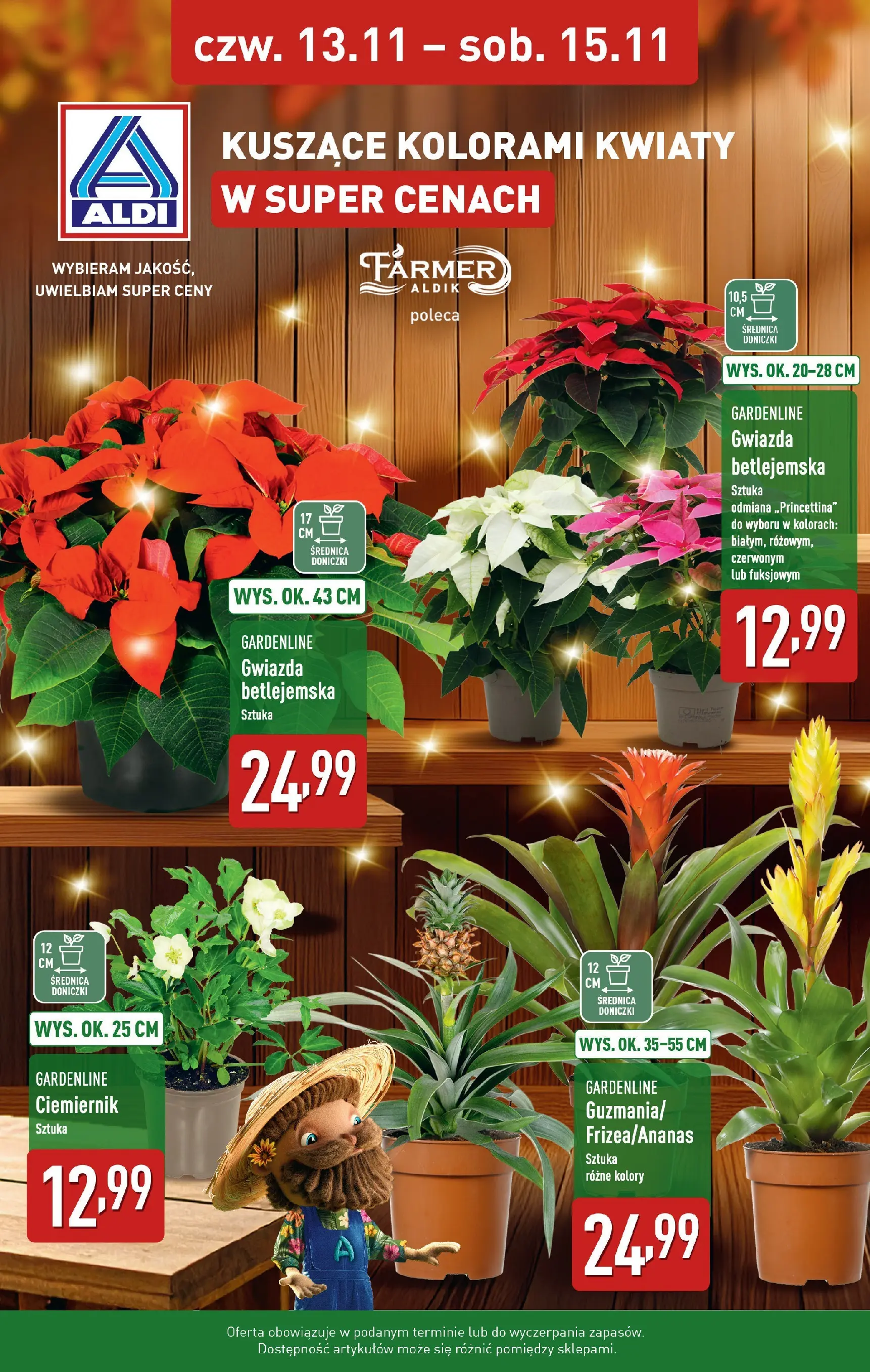 aldi - Gazetka ALDI - Kuszące kolorami kwiaty - ważna od 13.11. do 15.11.