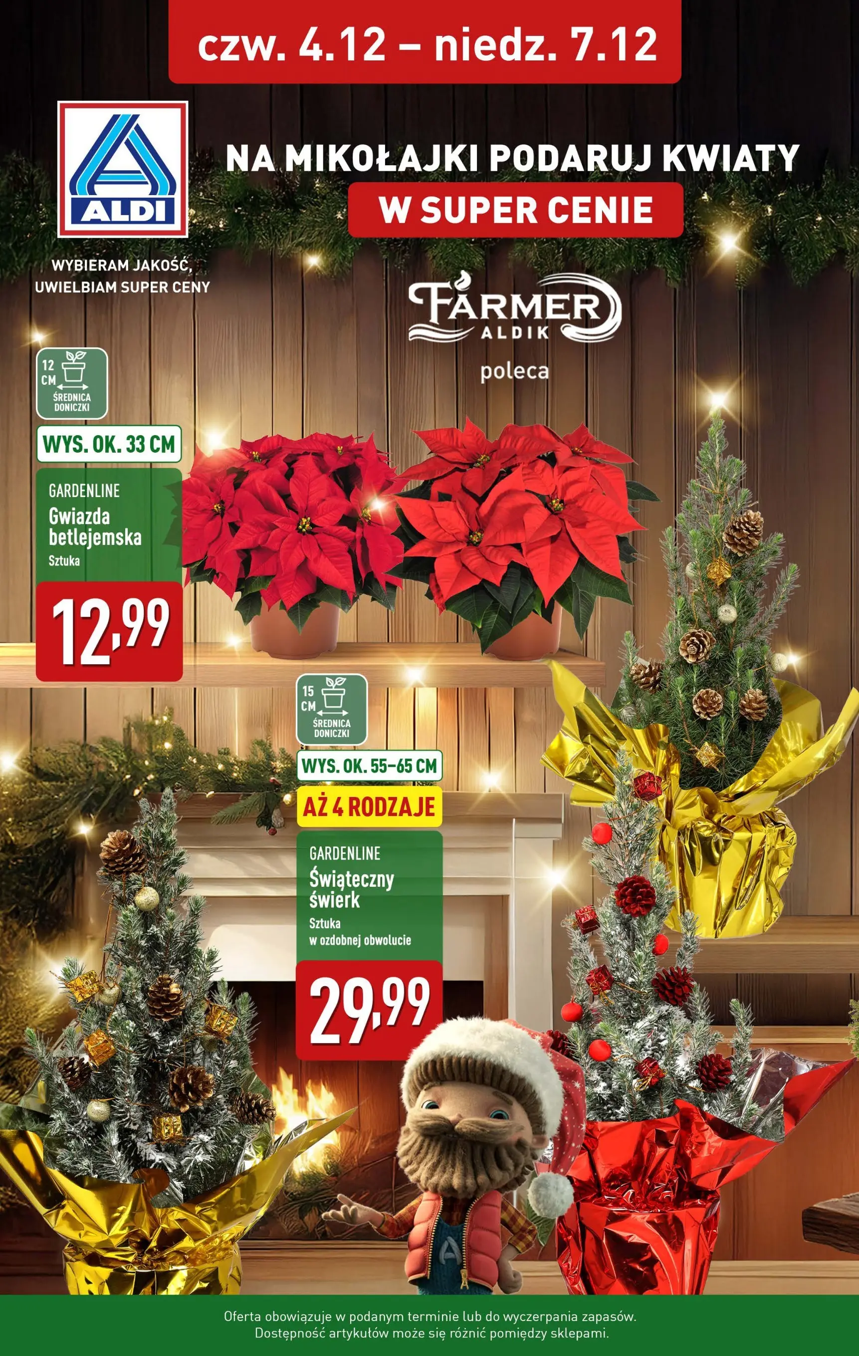 aldi - Gazetka ALDI - Na Mikołajki podaruj kwiaty - ważna od 04.12. do 07.12.