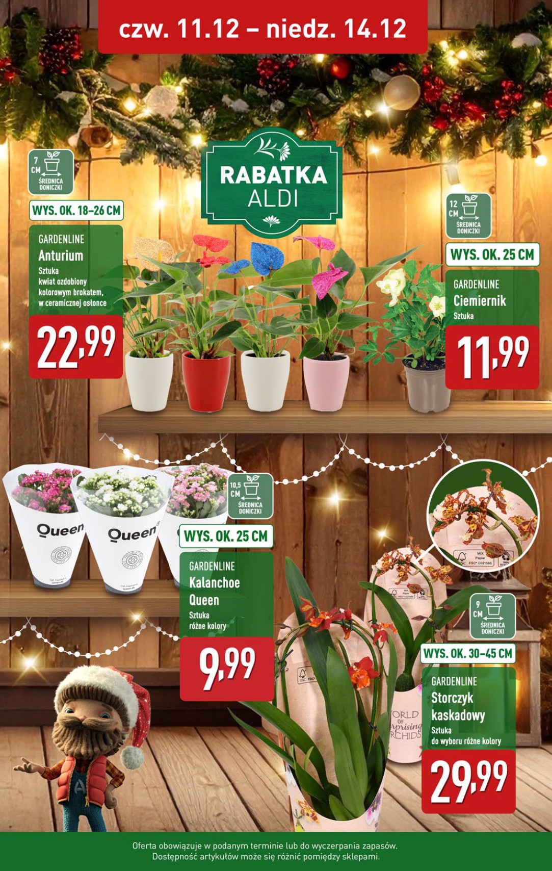 aldi - Gazetka ALDI - ważna od 08.12. do 14.12. - page: 39