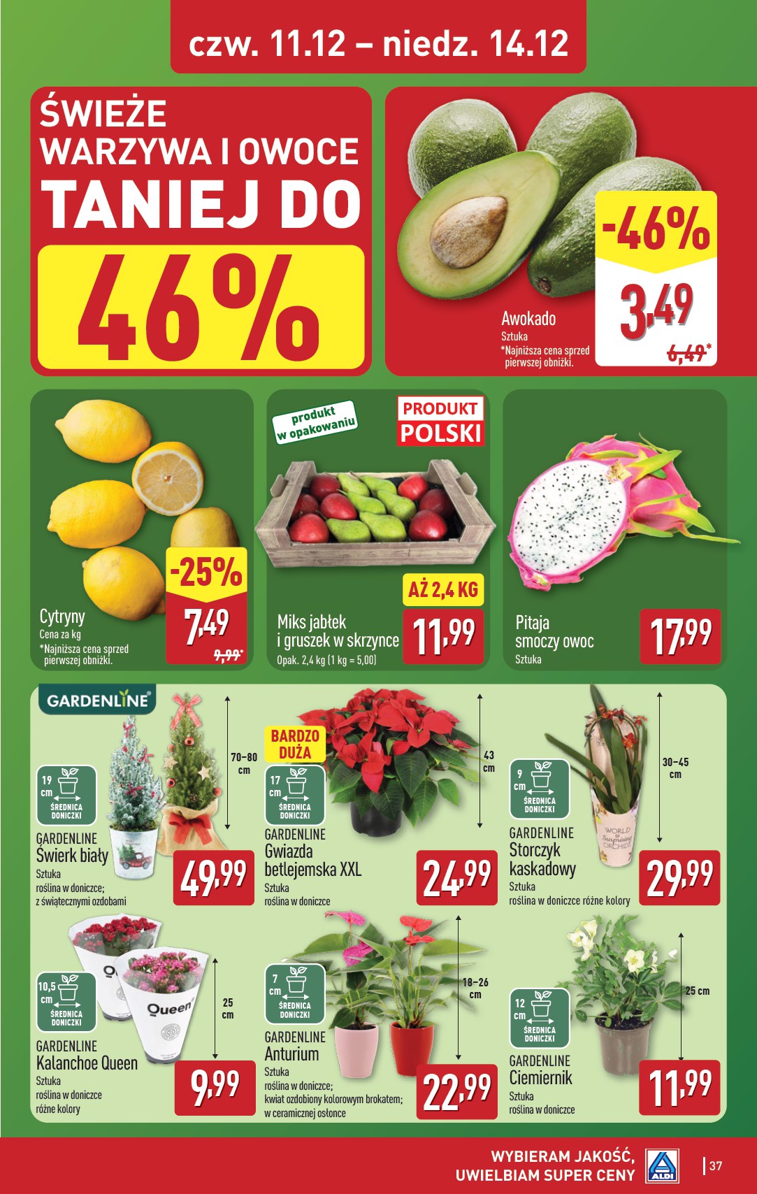 aldi - Gazetka ALDI - ważna od 08.12. do 14.12. - page: 37