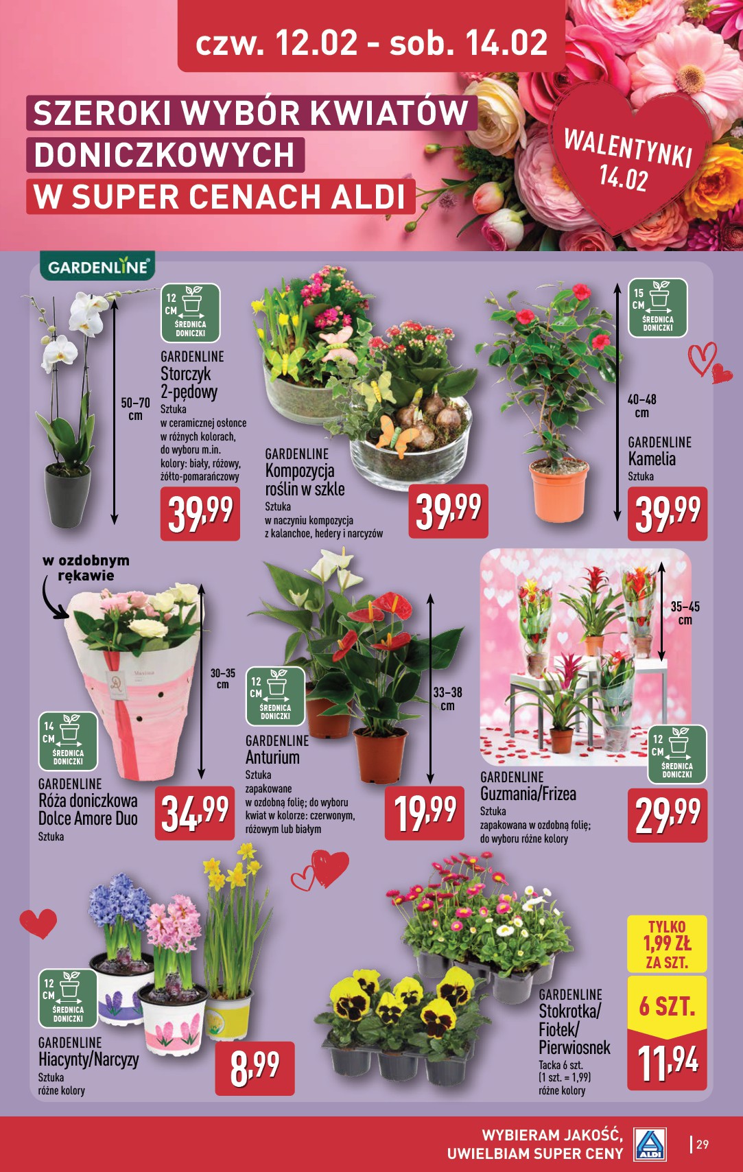 aldi - Gazetka ALDI - ważna od 09.02.2026 do 14.02.2026 - page: 29
