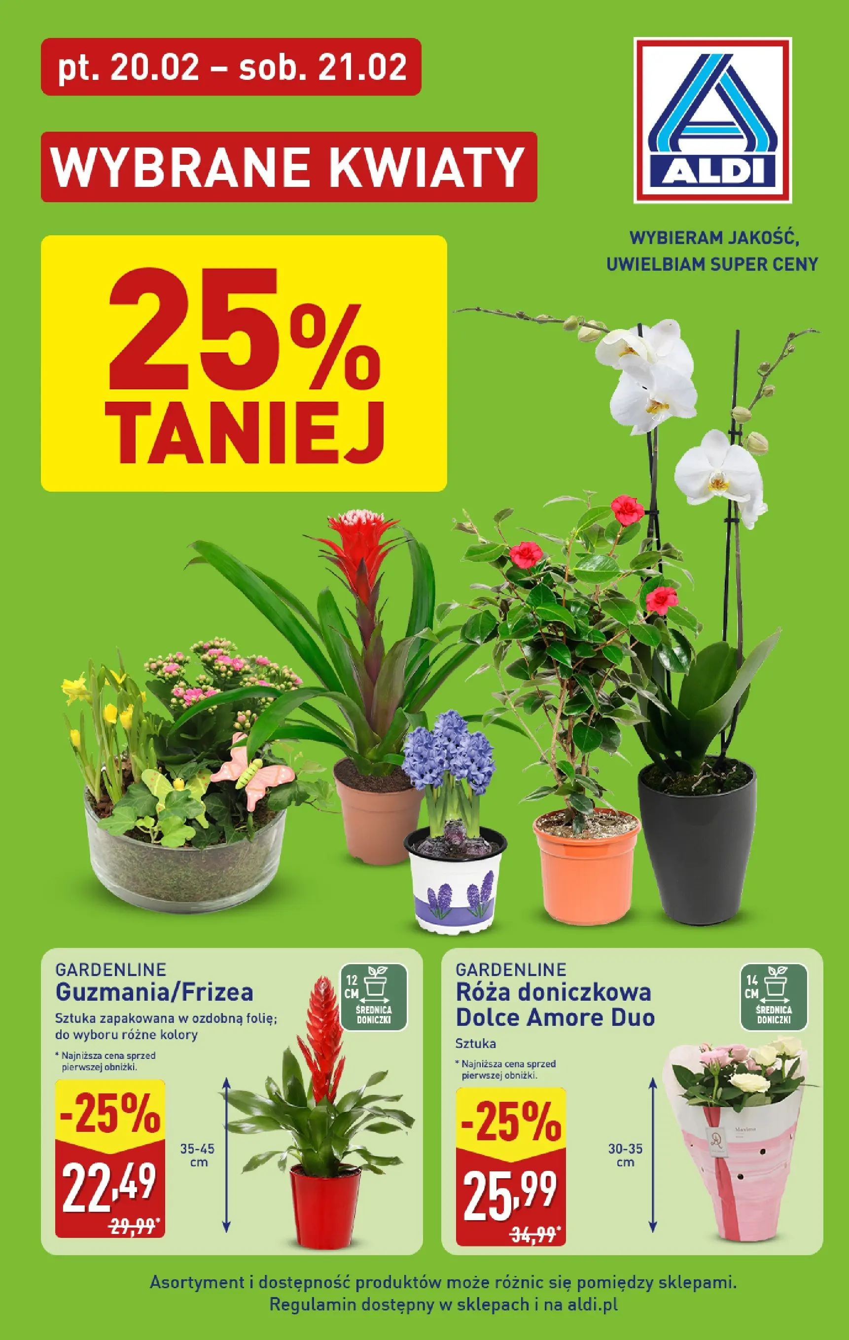 aldi - Gazetka ALDI - Kwiaty - ważna od 20.02.2026 do 21.02.2026