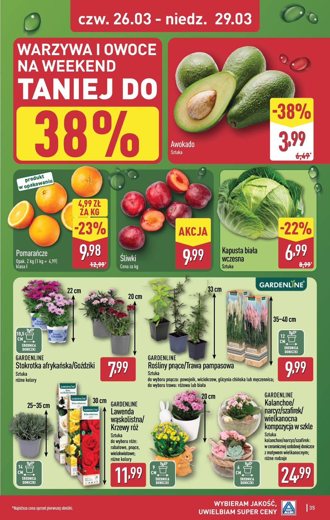 aldi - Gazetka ALDI - ważna od 23.03.2026 do 29.03.2026 - page: 35