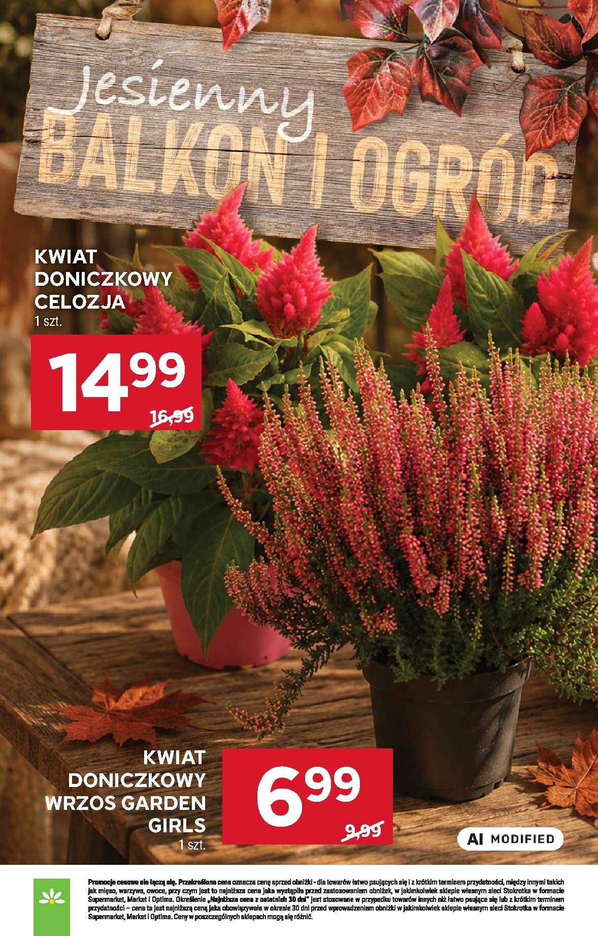 stokrotka - Aktualna gazetka Stokrotka - Market ważna od 03.09.2026 do 09.09.2026 - page: 15