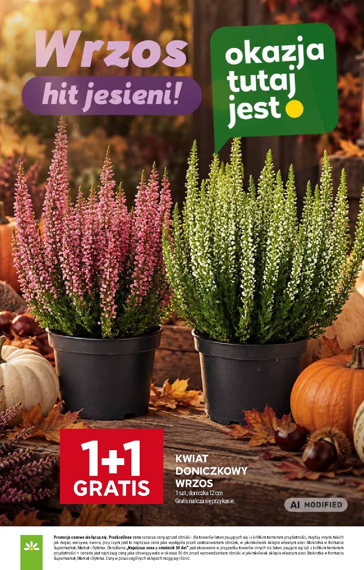 stokrotka - Aktualna gazetka Stokrotka - Supermarket ważna od 17.09.2026 do 23.09.2026 - page: 37