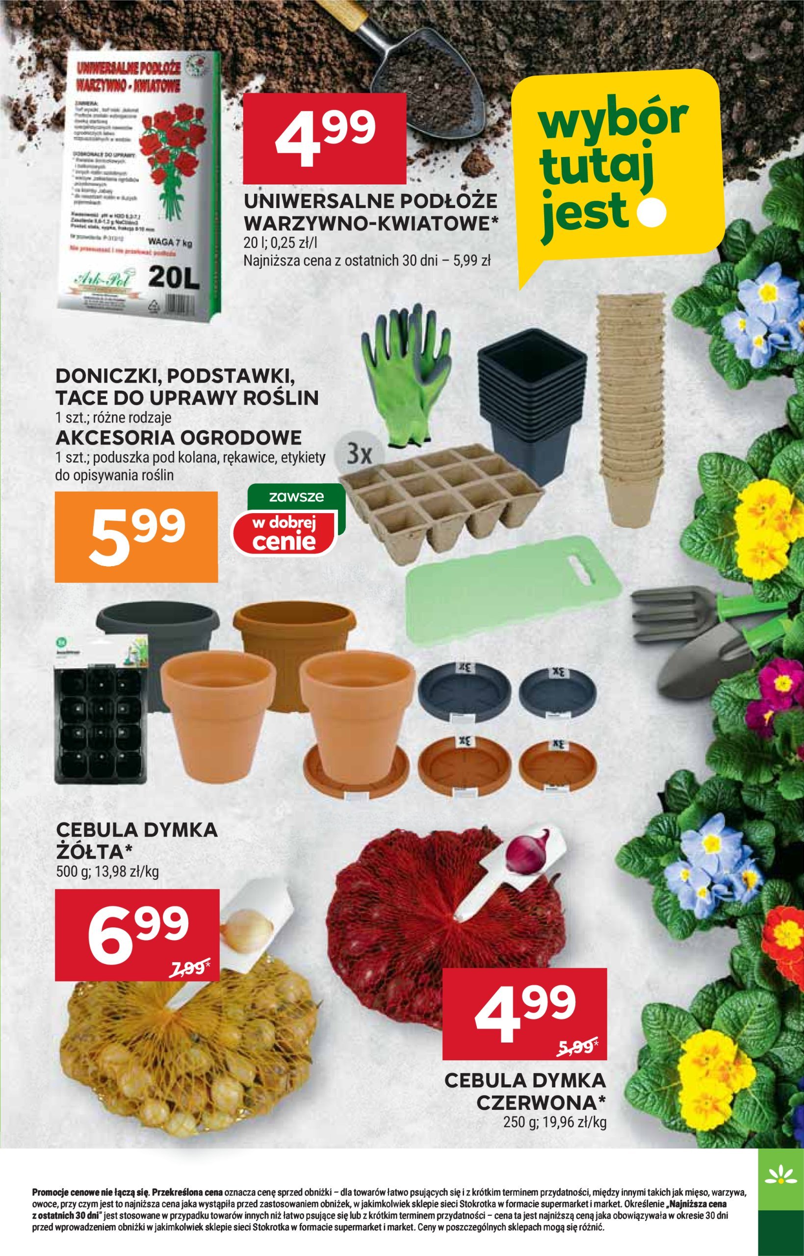 stokrotka - Stokrotka - Market gazetka ważna od 20.02. - 26.02. - page: 21