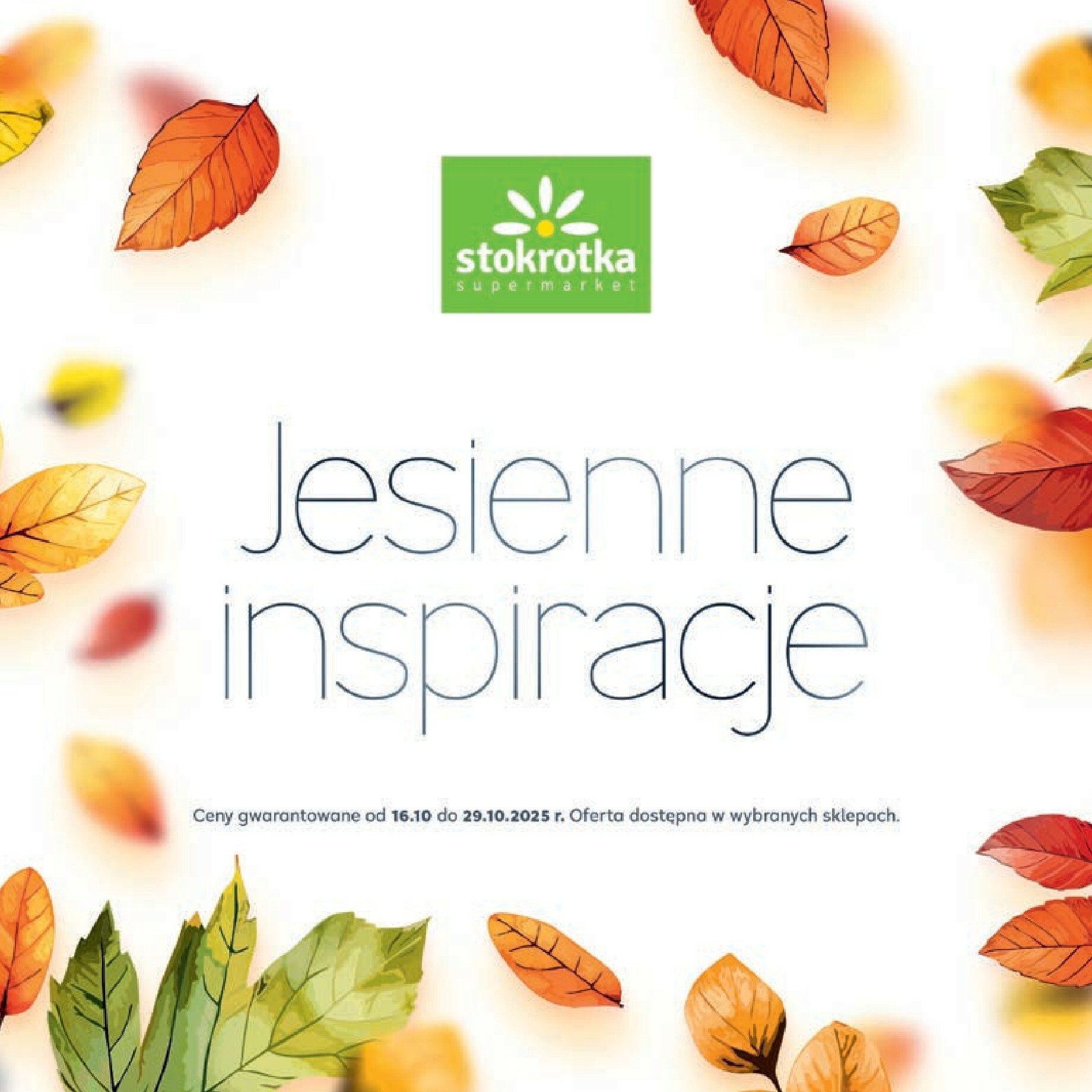 stokrotka - Gazetka Stokrotka - Katalog Jesiennie Inspiracje! - ważna od 16.10. do 29.10.