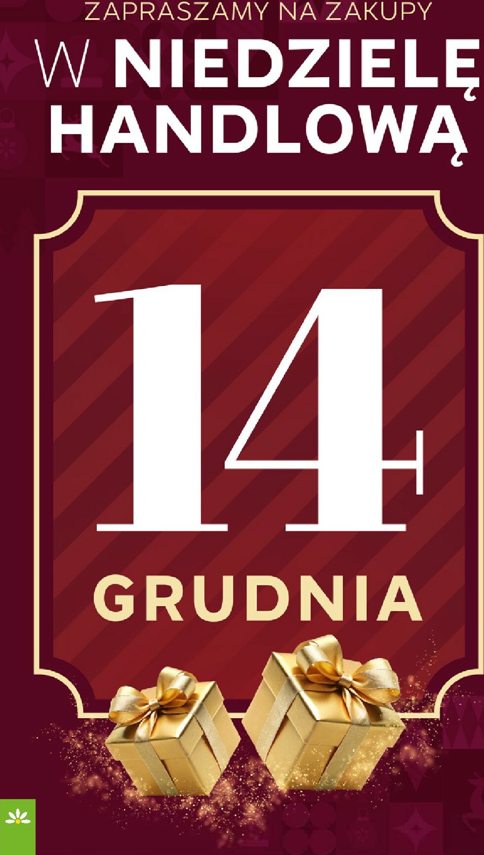 stokrotka - Gazetka Stokrotka - Supermarket - ważna od 11.12. do 17.12. - page: 64