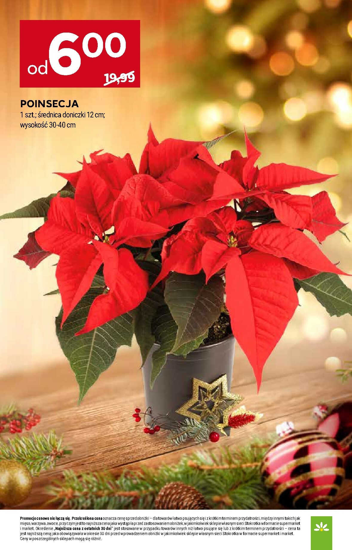 stokrotka - Gazetka Stokrotka - Supermarket - ważna od 18.12. do 21.12. - page: 49