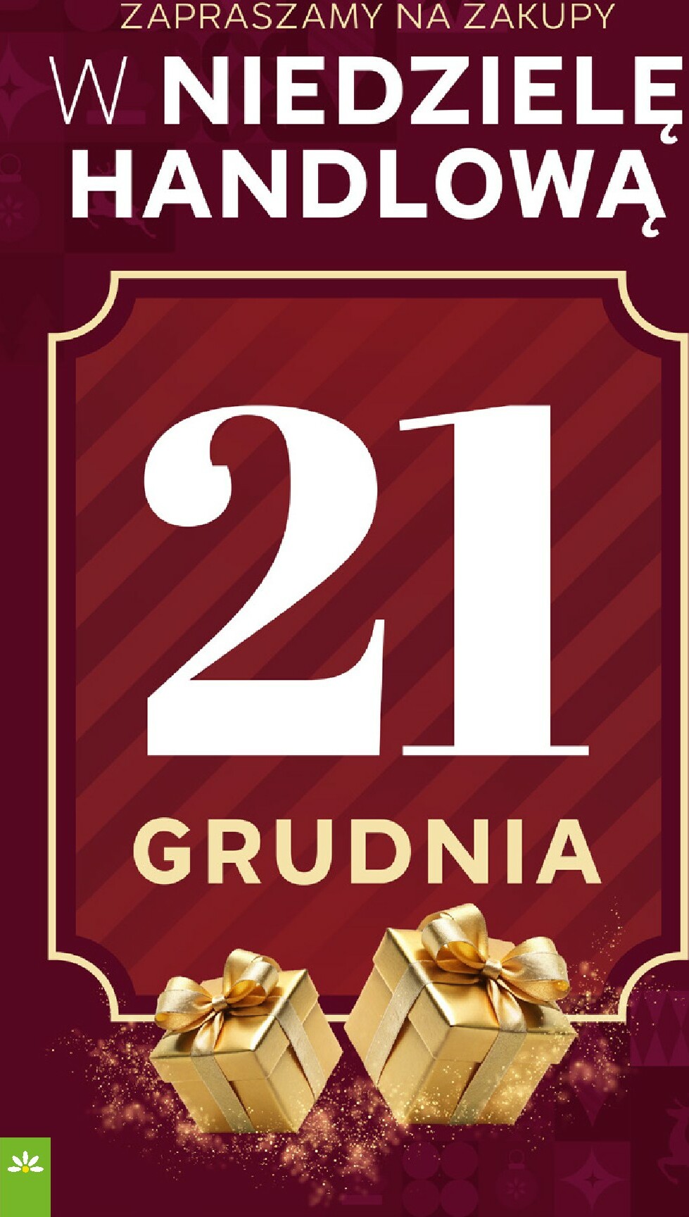 stokrotka - Gazetka Stokrotka - Supermarket - ważna od 18.12. do 21.12. - page: 2