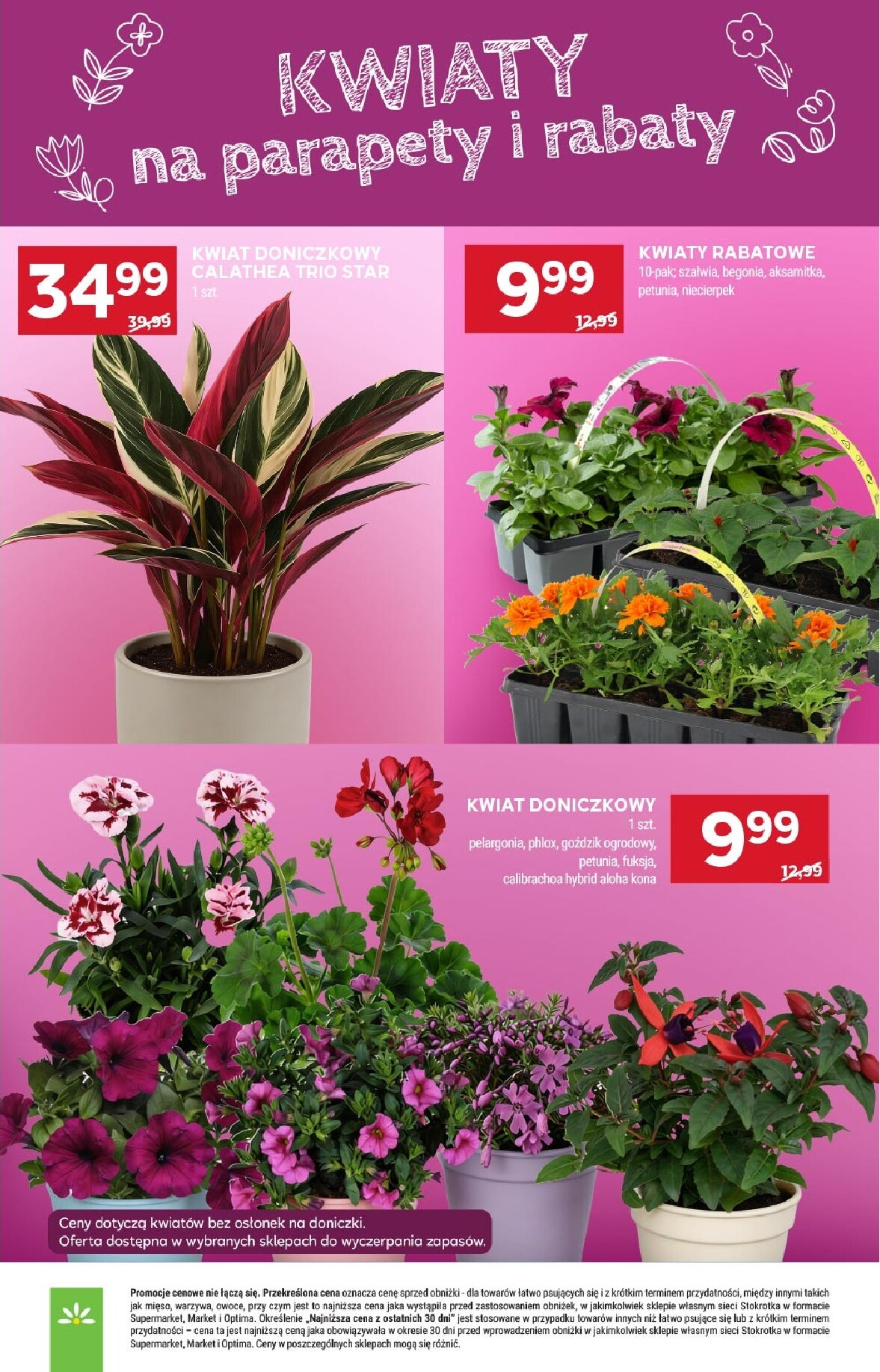 stokrotka - Aktualna gazetka Stokrotka - Supermarket ważna od 16.04.2026 do 22.04.2026 - page: 24