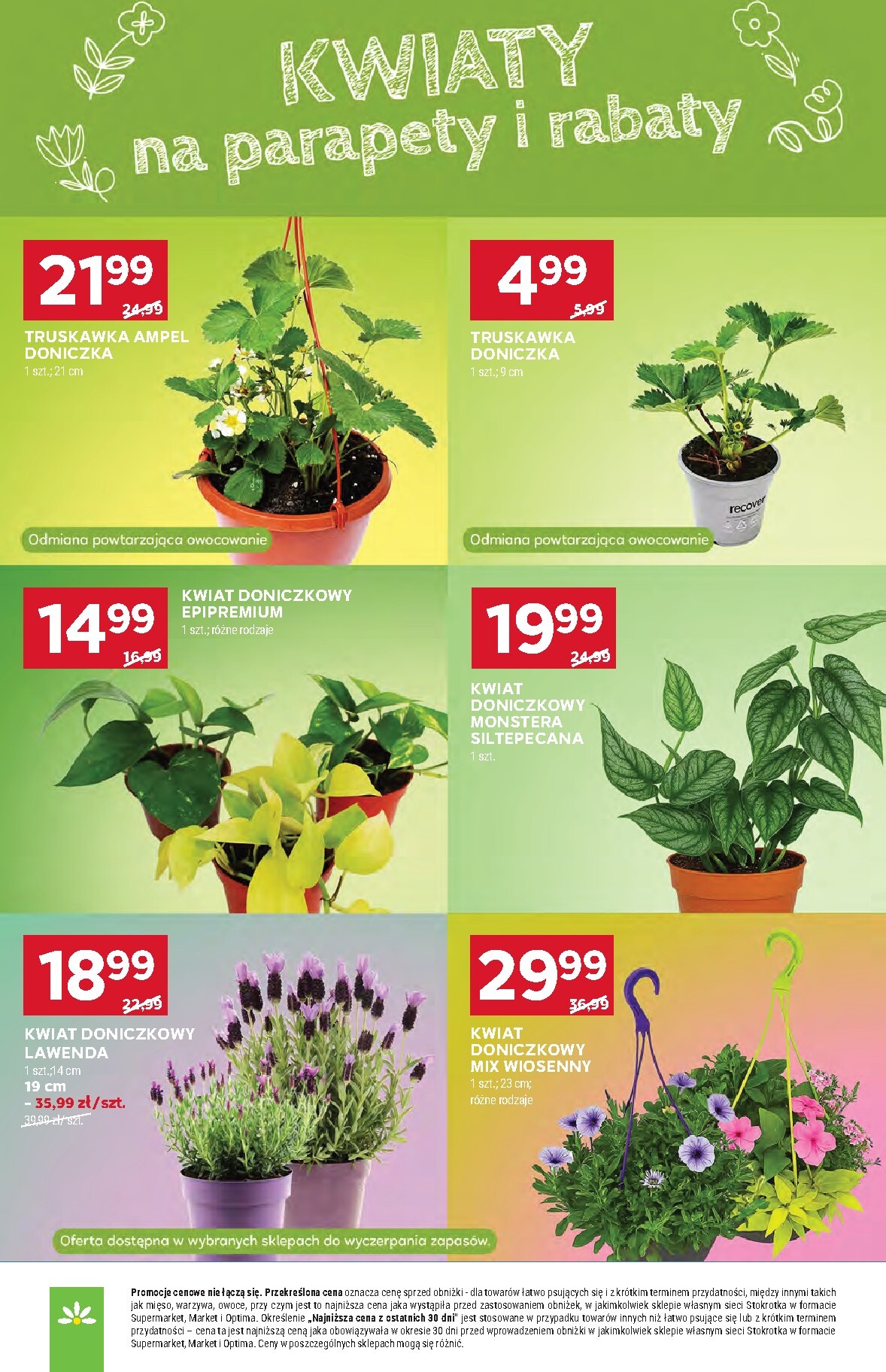 stokrotka - Aktualna gazetka Stokrotka - Supermarket ważna od 23.04.2026 do 28.04.2026 - page: 52