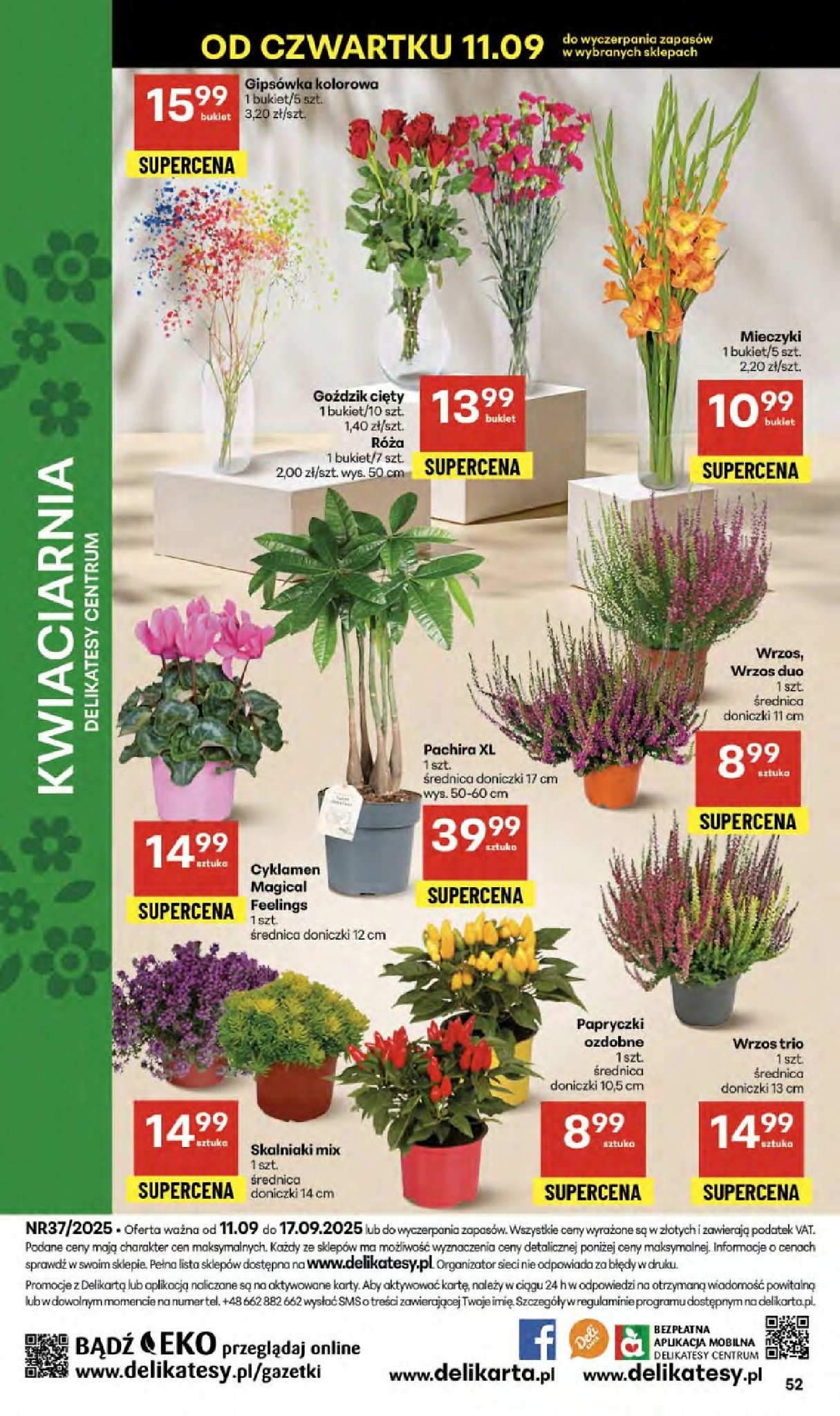 delikatesy-centrum - Gazetka Delikatesy Centrum - ważna od 11.09. do 17.09. - page: 52