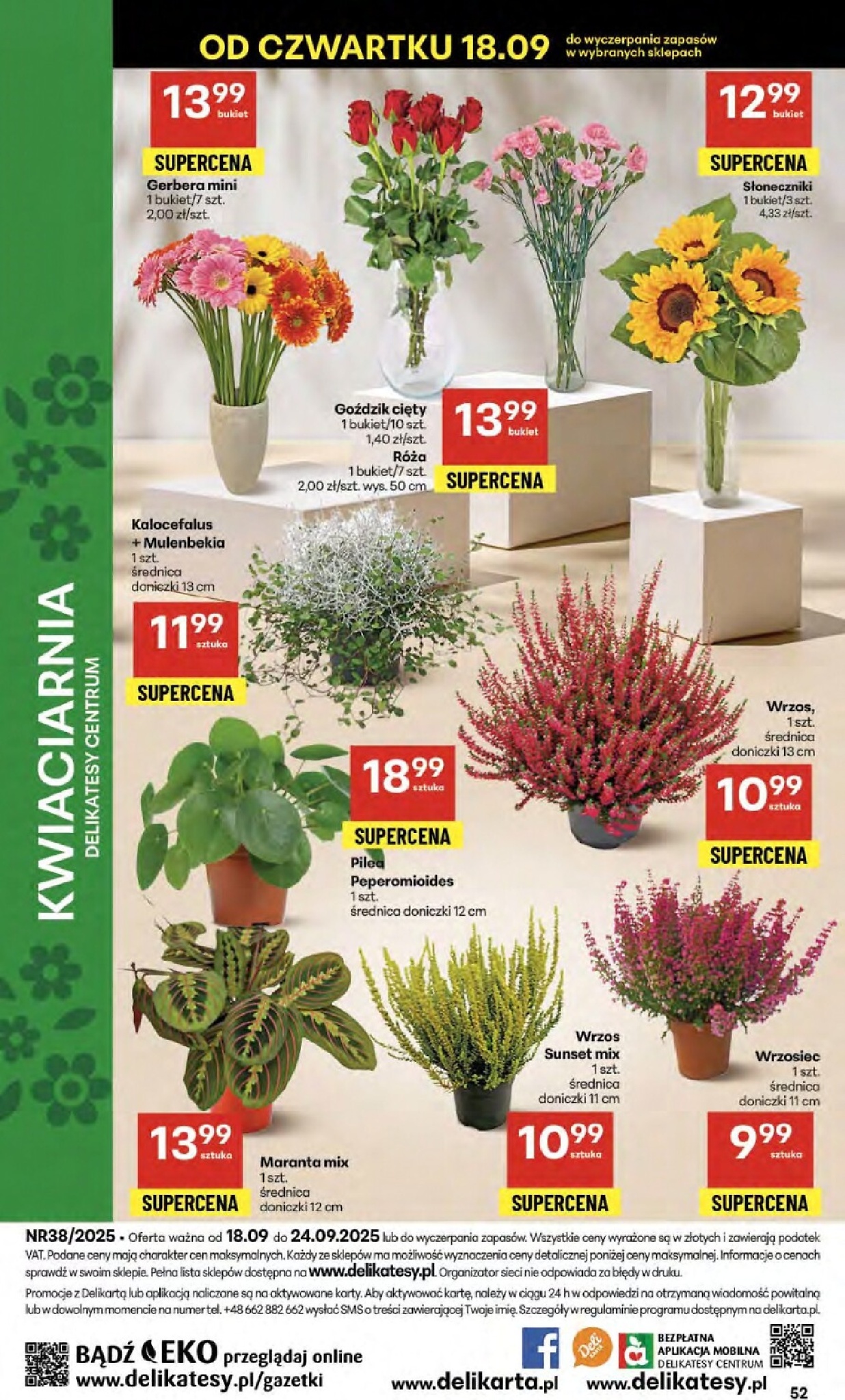 delikatesy-centrum - Gazetka Delikatesy Centrum - ważna od 18.09. do 24.09. - page: 52