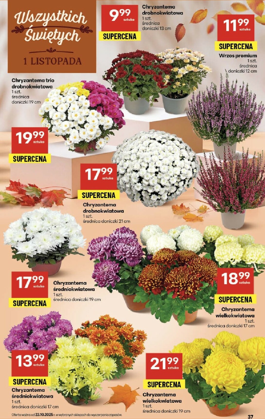 delikatesy-centrum - Gazetka Delikatesy Centrum - ważna od 23.10. do 29.10. - page: 37