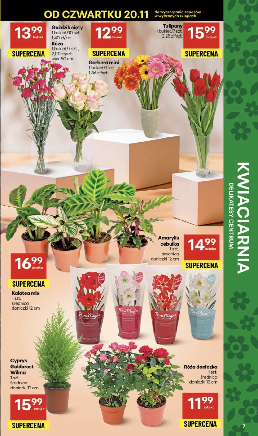 delikatesy-centrum - Gazetka Delikatesy Centrum - ważna od 20.11. do 26.11. - page: 7