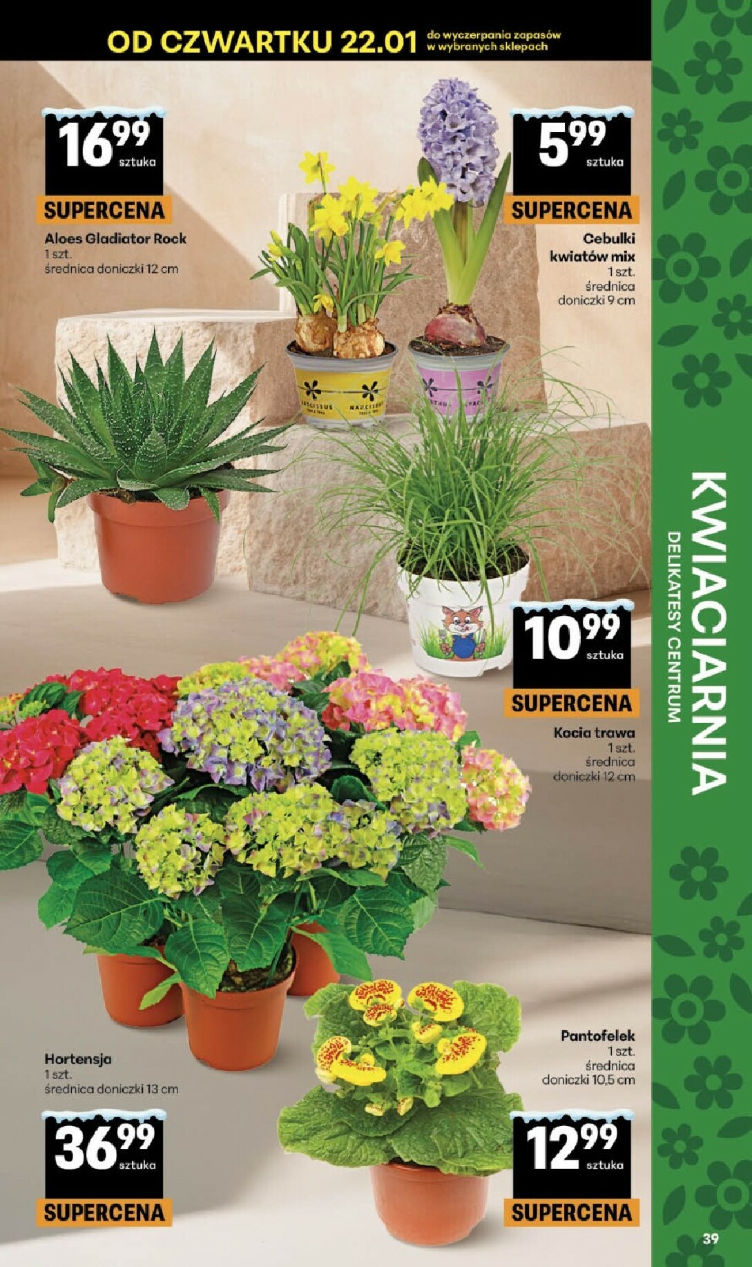 delikatesy-centrum - Gazetka Delikatesy Centrum - ważna od 22.01. do 28.01. - page: 39