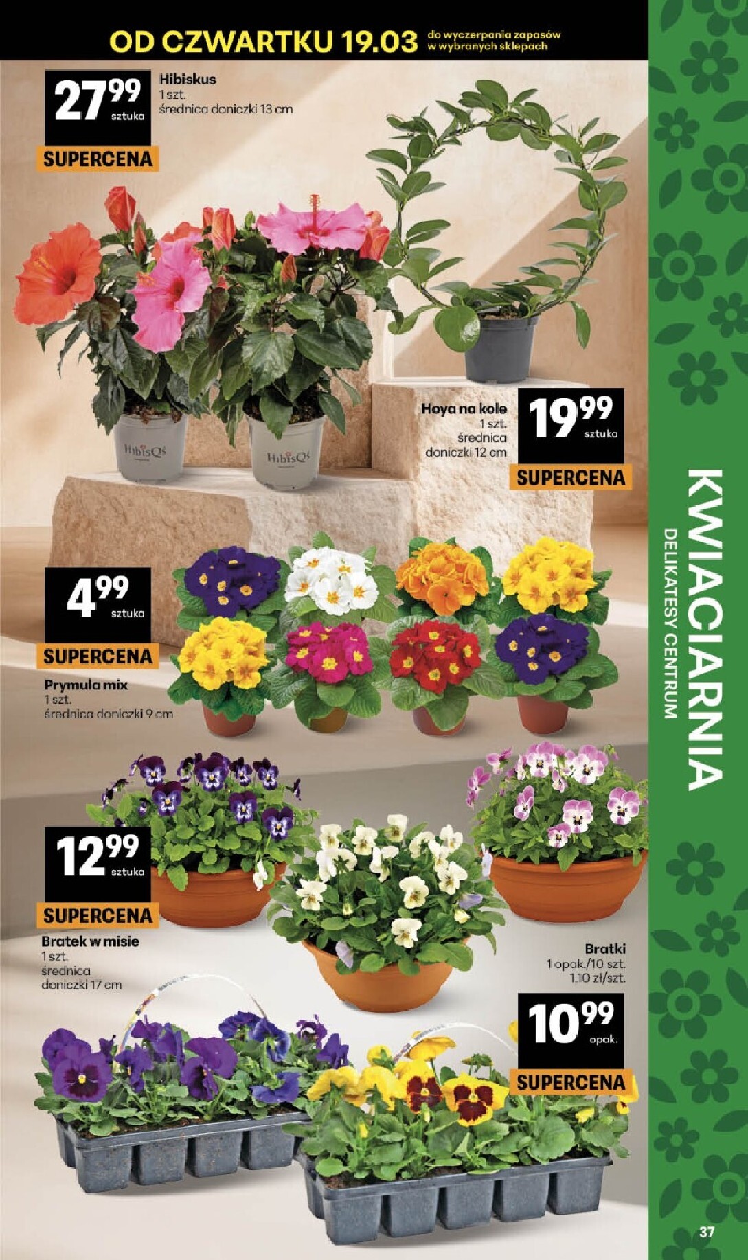 delikatesy-centrum - Gazetka Delikatesy Centrum - ważna od 19.03.2026 do 25.03.2026 - page: 37