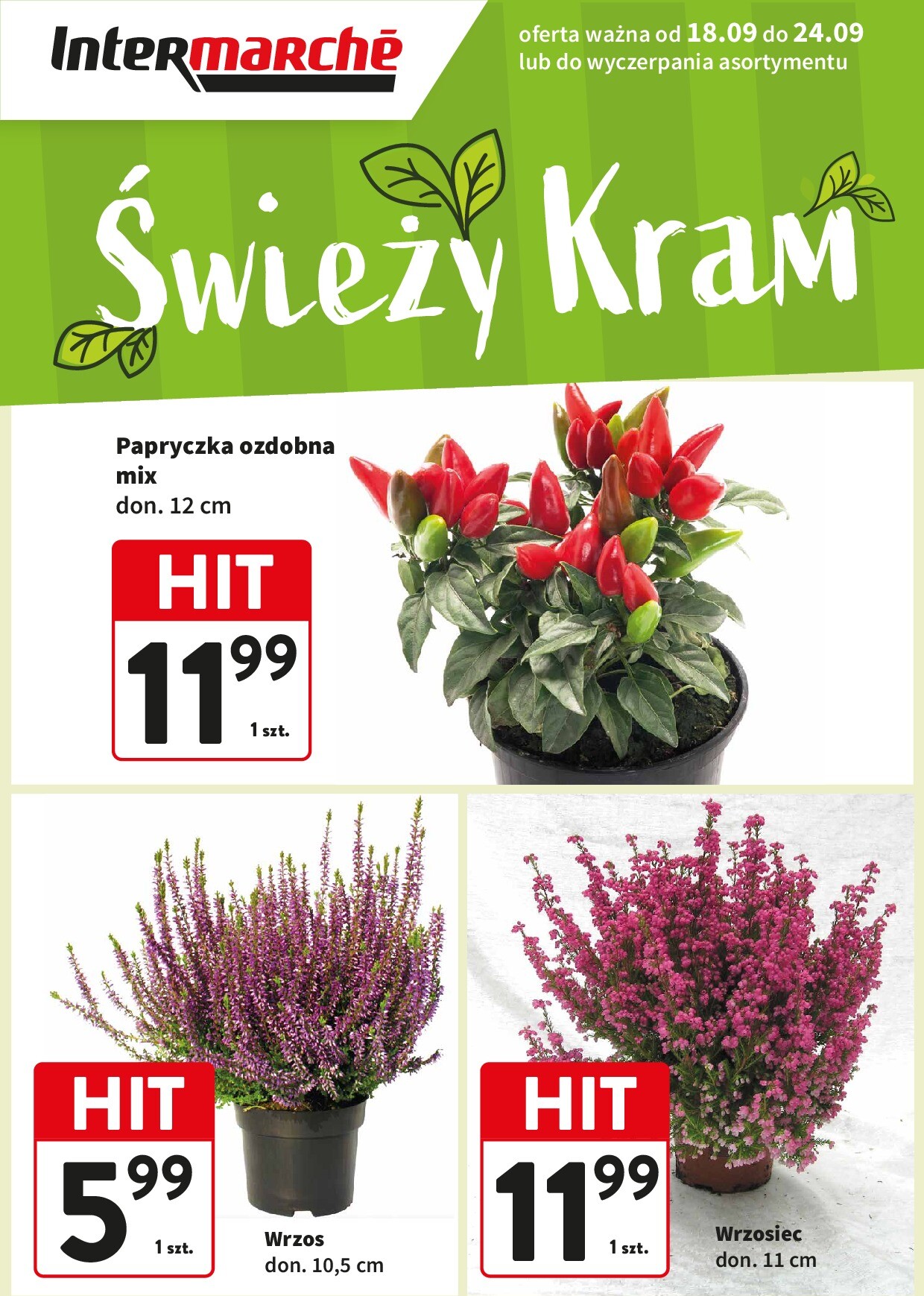 intermarche - Gazetka Intermarché - Świeży HIt - ważna od 18.09. do 24.09.
