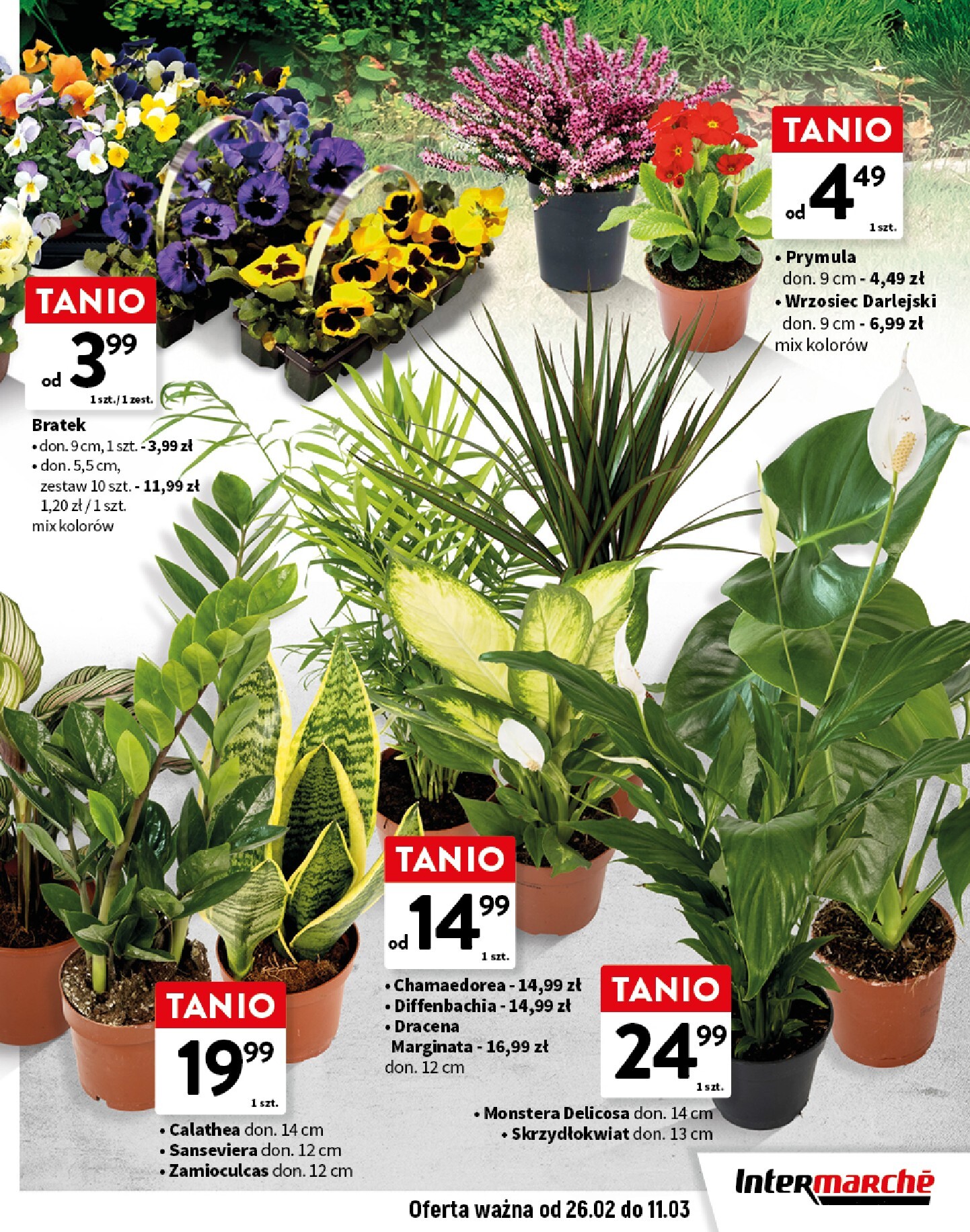 intermarche - Gazetka Intermarché - Wiosna w ogrodzie - ważna od 26.02.2026 do 11.03.2026 - page: 7