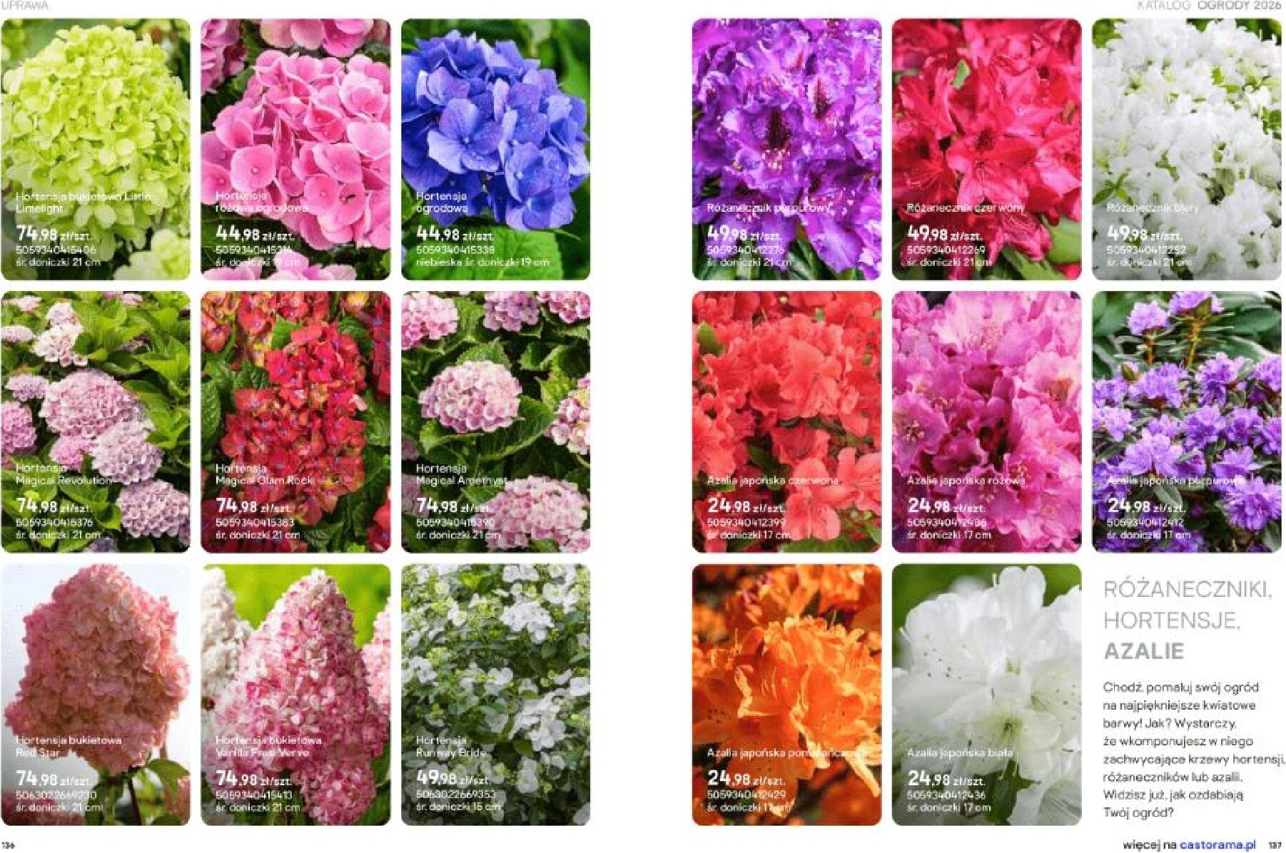 castorama - Gazetka Castorama - Ogrody - ważna od 18.03.2026 do 30.09.2026 - page: 69