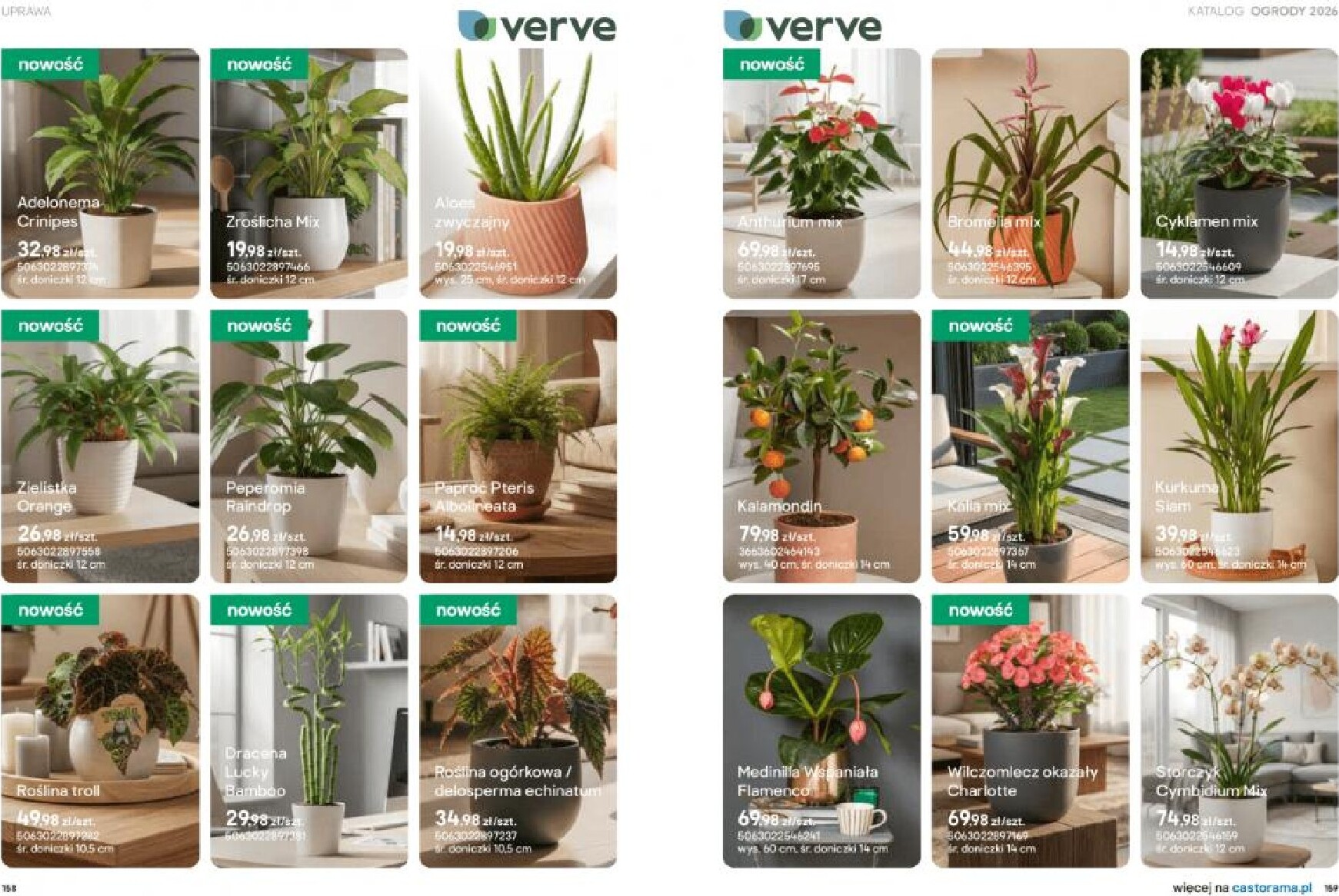 castorama - Gazetka Castorama - Ogrody - ważna od 18.03.2026 do 30.09.2026 - page: 80