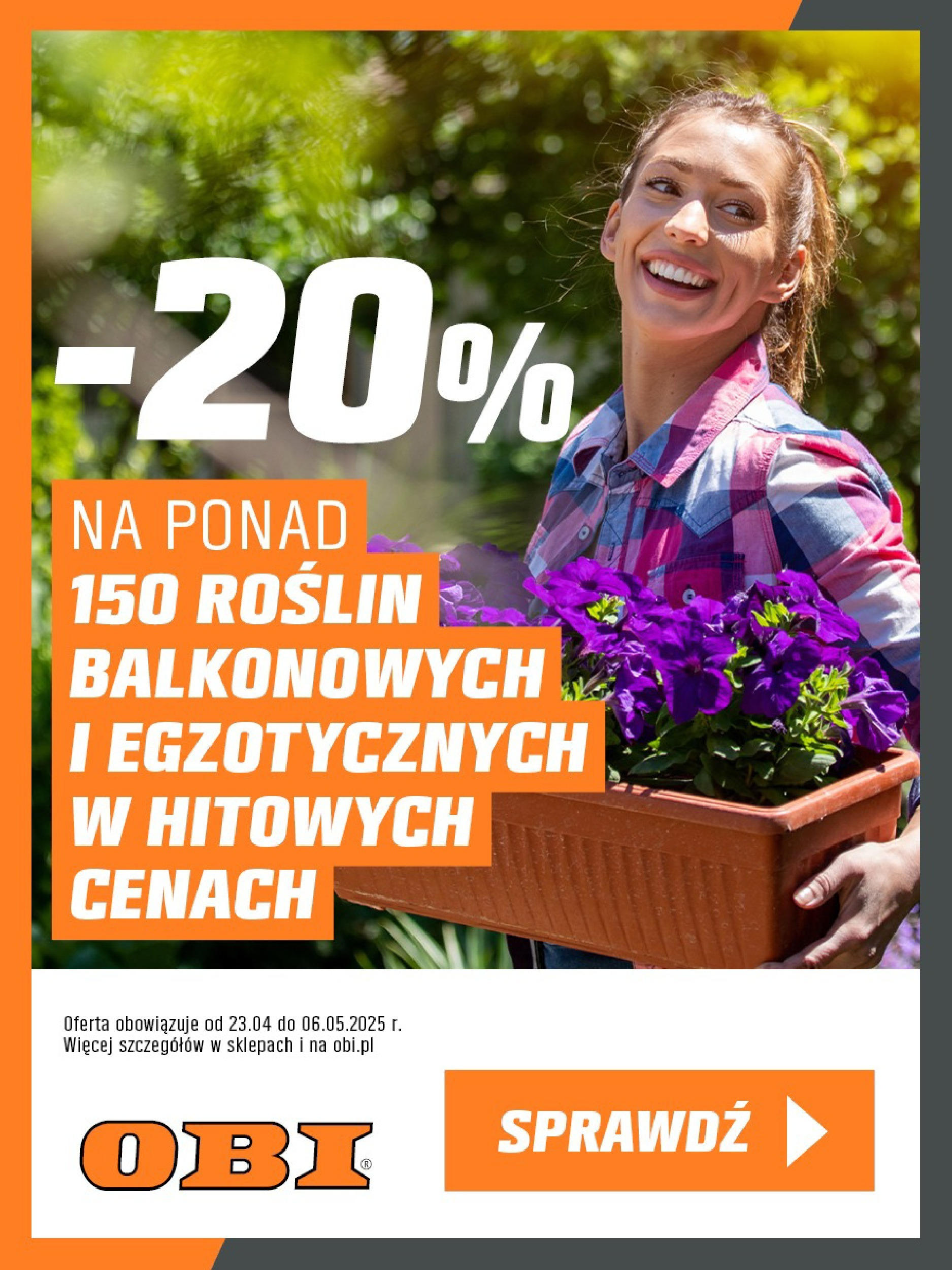 obi - OBI - Rosliny egzotyczne -20% gazetka ważna od 24.04. - 06.05.