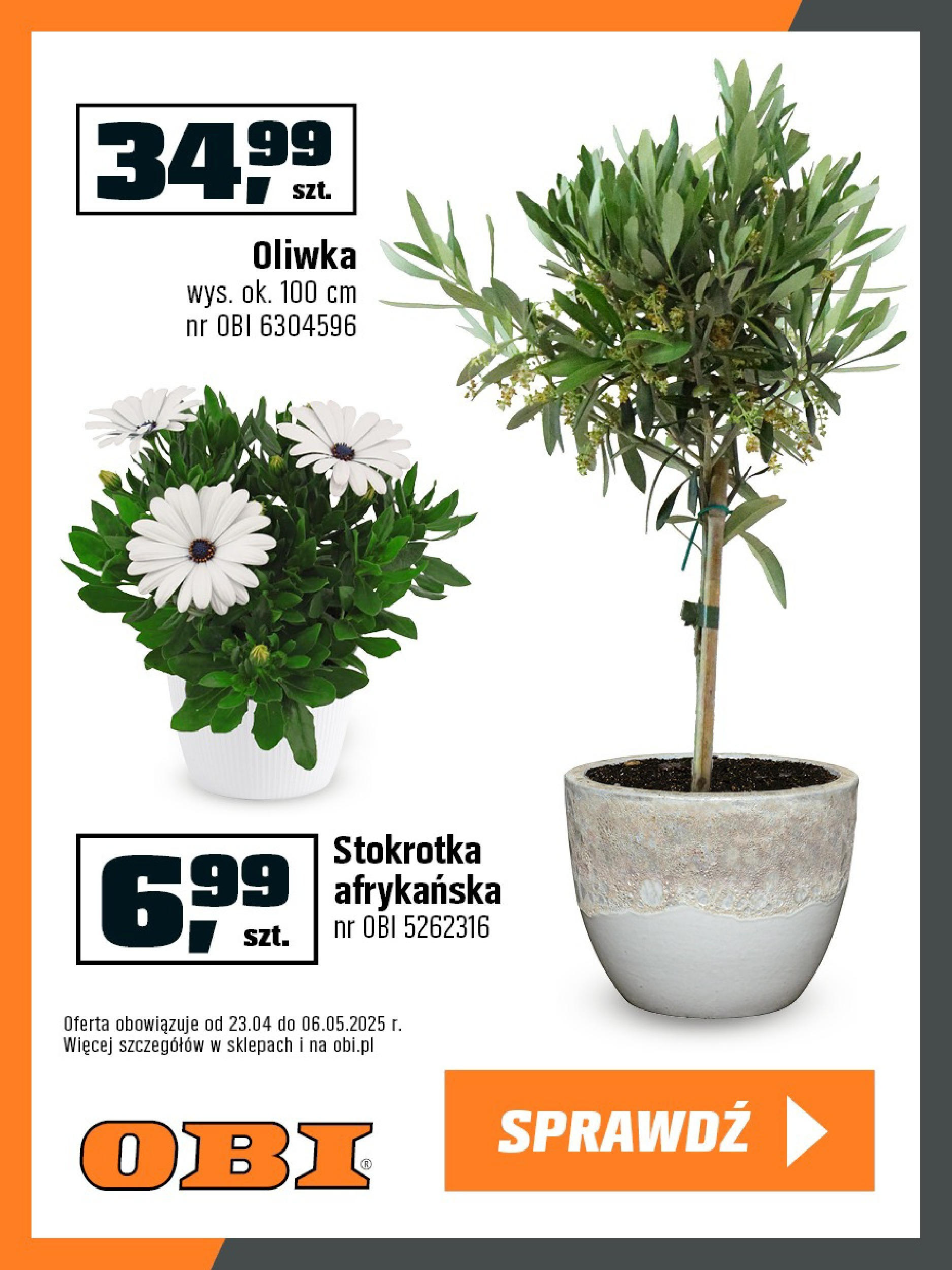obi - OBI - Rosliny egzotyczne gazetka ważna od 23.04. - 06.05.