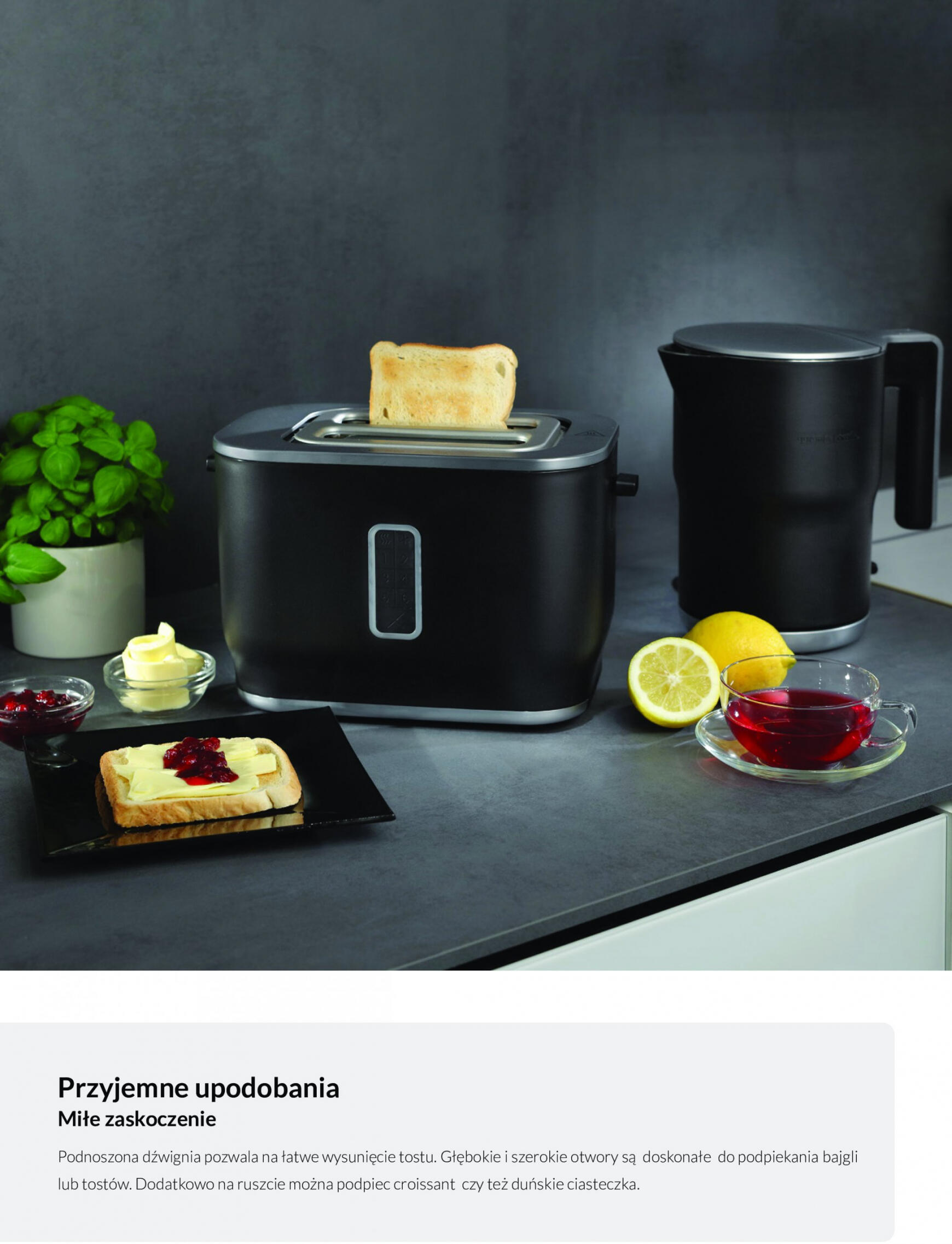 agata-meble - Agata Meble - Katalog sprzęt AGD - Gorenje - page: 20