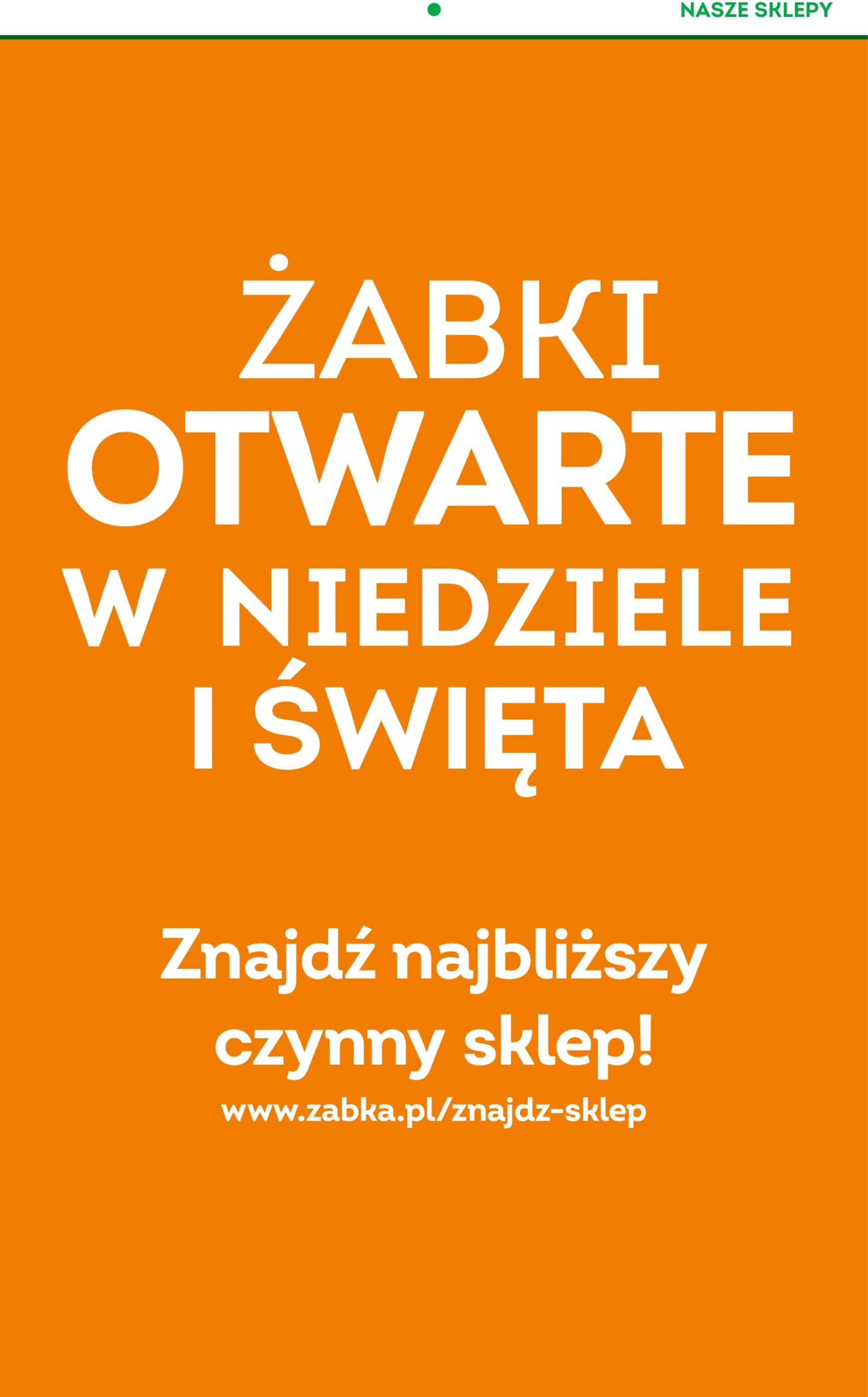 zabka - Żabka gazetka ważna od 23.10. - 05.11. - page: 17